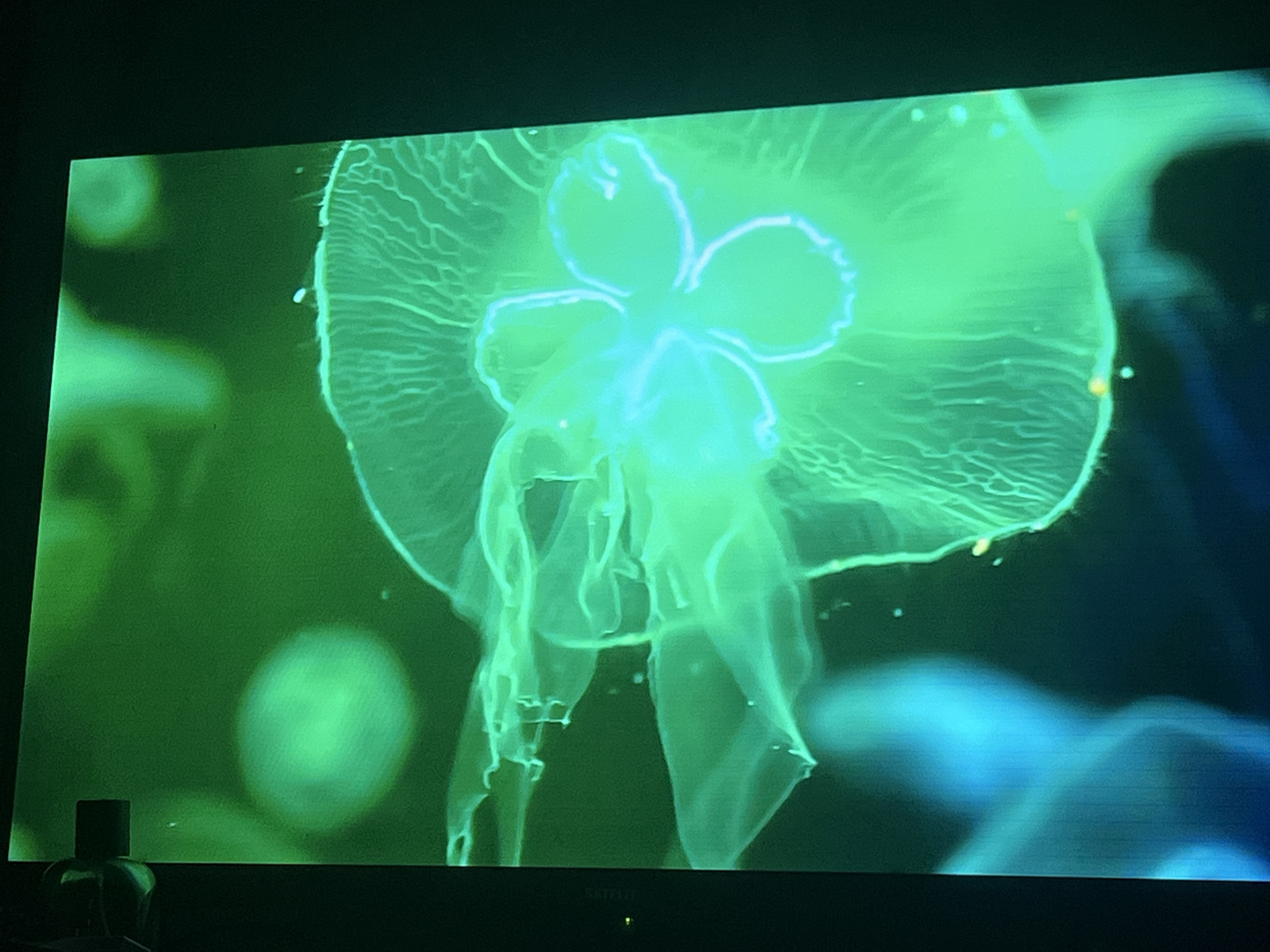 The image shows a close-up view of a jellyfish, illuminated with a vibrant green and cyan light, projected onto a screen. The jellyfish is translucent, with intricate internal structures visible, and appears to be in motion. The background is dark and appears to be a projection as well, with other blurred jellyfish-like forms visible in shades of green and blue. In the foreground, at the bottom left of the screen, a dark, bottle-shaped object with a cap is partially visible. The overall scene suggests a display or exhibit, possibly in an aquarium or museum setting. There are no indications of the city of Zoriane, Ukraine, or any specific location details within the image itself.