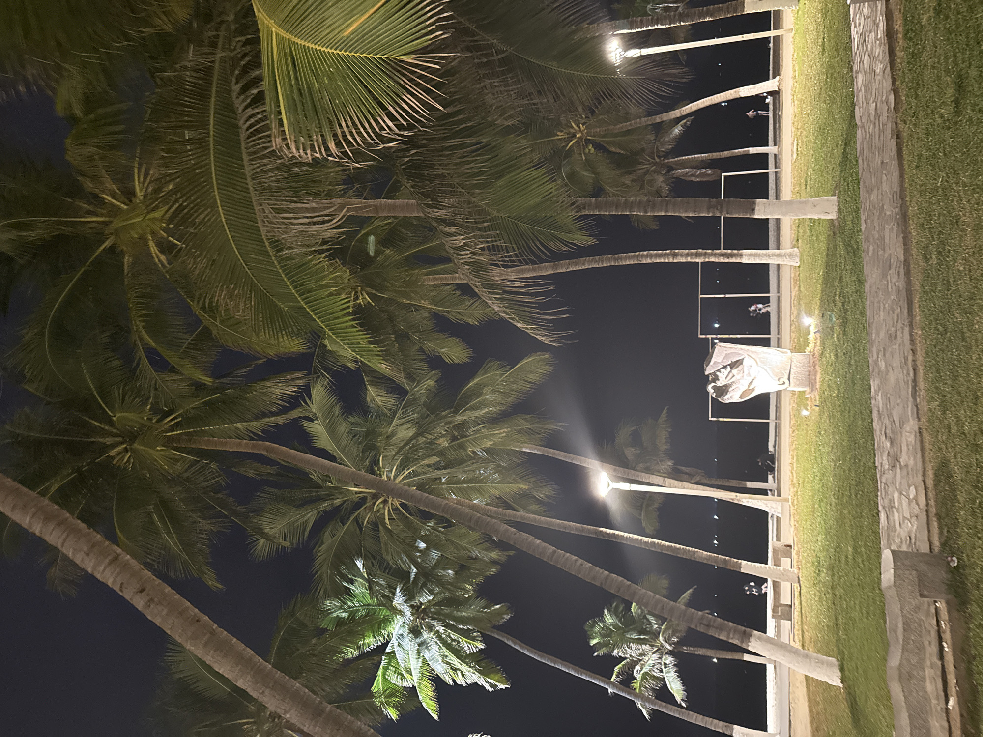 The image depicts a nighttime scene in Nha Trang Ward, Vietnam. Tall palm trees dominate the left side of the frame, their trunks stretching upwards into the dark sky, with fronds illuminated by artificial light. A row of evenly spaced streetlights lines the right side, casting a glow onto a grassy area and a paved walkway. In the distance, along the coastline, silhouettes of people can be discerned near the water's edge. The scene conveys a tranquil atmosphere of a tropical coastal setting at night.