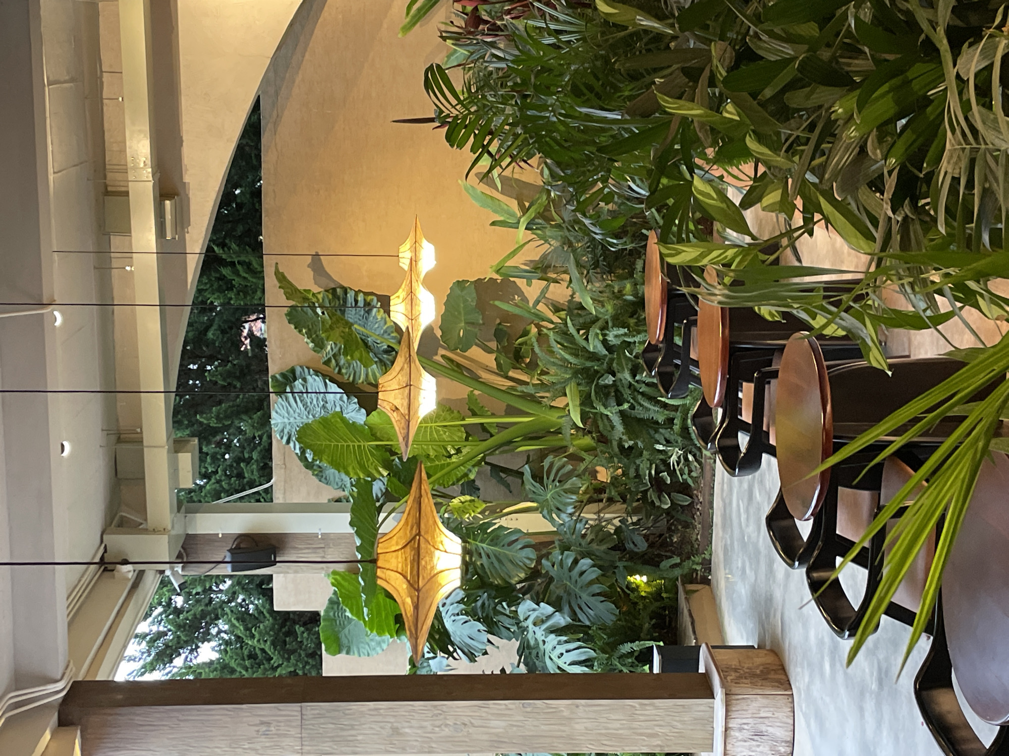 The image depicts an outdoor seating area of a cafe or restaurant, likely in Da Lat, Vietnam, characterized by lush tropical foliage and ambient lighting. The scene is dominated by large, vibrant green plants, including elephant ear plants and ferns, creating a dense, jungle-like atmosphere. Suspended from the ceiling are three large, woven pendant lamps with a warm, yellowish glow, illuminating the space and casting soft shadows.
In the foreground, several dark-colored chairs with wooden seats are arranged around small, round wooden tables. The chairs are of a modern, minimalist design, with curved backs. The tables have a dark wood top and a dark base. Some of these tables and chairs are partially obscured by the surrounding greenery.
Behind the seating area, a textured wall with an arched opening is visible. Through this opening, a glimpse of trees and a structure can be seen, suggesting the cafe is located in an area with natural surroundings. The floor is paved with a light-colored, smooth material, possibly concrete.
A wooden pillar with a textured finish stands on the left side of the image, and further back, a cylindrical wooden structure, possibly a planter or a decorative element, is visible. The overall ambiance is serene and inviting, with the natural elements and soft lighting creating a tranquil environment. The presence of plants and the open-air setting suggest a location that embraces its natural surroundings, typical of establishments in Da Lat.