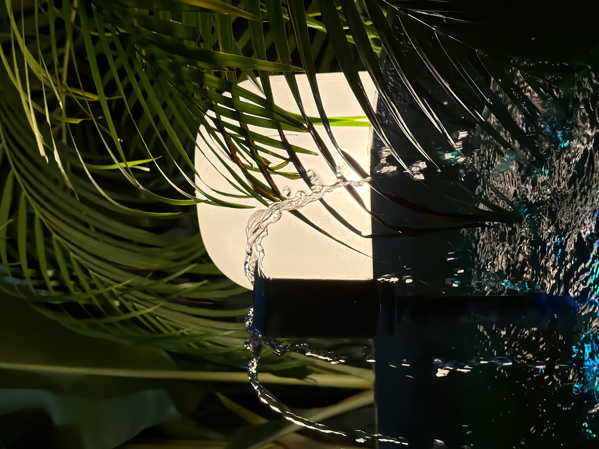 A close-up, low-angle shot depicts a fountain in the city of Baan Bo Phut, Thailand, at night. Water arcs from a dark, cylindrical fountainhead, splashing into a body of dark water illuminated by blue and green underwater lights. Lush, dark green palm fronds frame the scene, their leaves casting shadows and catching the light. Behind the fountainhead, a large, softly glowing white orb is partially obscured by the foliage. The overall ambiance is serene and tropical.