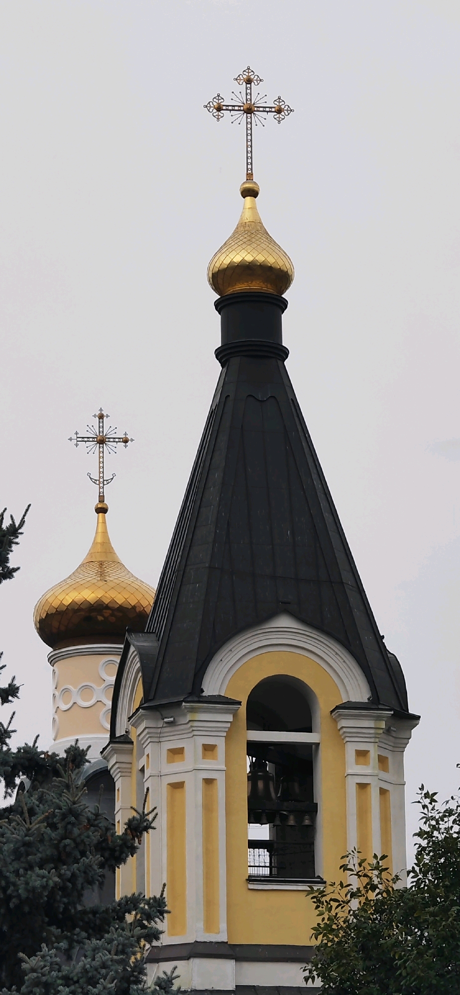 The image shows a close-up view of two church domes and a bell tower, with a grey sky as the background. A golden dome, topped with a cross, is visible on the left, with decorative white circular patterns on its base. To the right, a tall, dark, pyramidal roof caps a yellow bell tower with white architectural details and an arched opening revealing several bells. Evergreen trees frame the bottom and left sides of the image. This scene depicts a portion of the Holy Assumption Cathedral, located in Rechytsa, Belarus. There are no people or animals visible in the image.