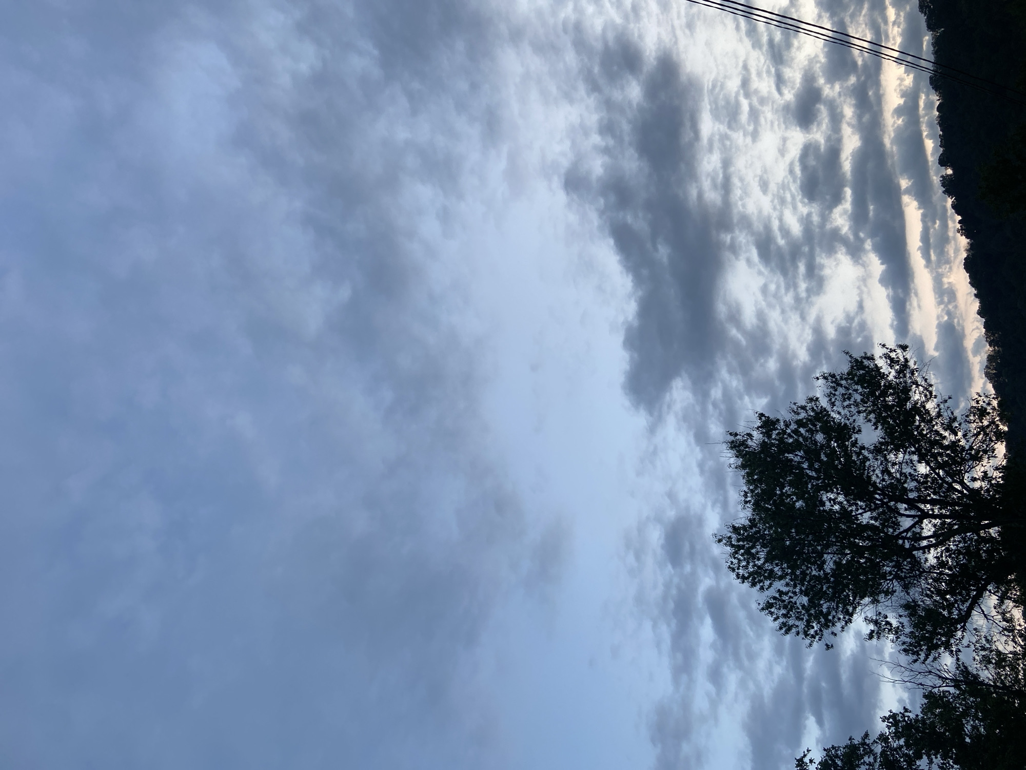 The image depicts a natural landscape, likely in a rural or forested area, under a cloudy sky. Silhouetted trees and a dark treeline against the horizon dominate the lower portion of the frame. The sky is filled with a mix of light and dark gray clouds, with patches of lighter blue sky visible. There are no people, buildings, or specific landmarks identifiable in the image. The scene suggests either early morning or late evening due to the soft, diffused light and the muted colors. The mention of Lipniki, Russia, is not supported by any visual evidence in the photograph.