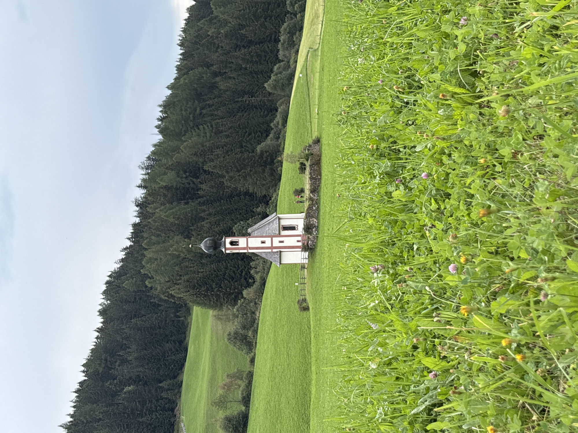 This is an outdoor, eye-level, medium shot of the Church of St. Magdalena in the village of Santa Maddalena, Italy. The church is a small, white building with red trim and a dark steeple. It is situated in a lush green meadow with a dense forest in the background. The meadow is dotted with small wildflowers and clover. Two individuals are visible in the background, standing near a low stone wall. The sky is overcast.