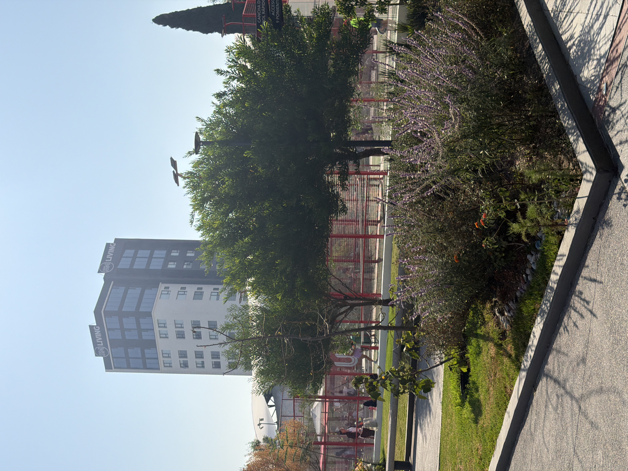 The image captures an outdoor scene in Puebla, Mexico, featuring urban landscaping, recreational areas, and a modern building. In the background, a tall building with the "SM LIVING" logo stands prominently, indicating residential or commercial use. In the midground, there are trees and shrubbery, including bushes with purple flowers, which define the landscaped areas. A red metal fence or barrier is also visible. In the foreground, there is a paved path with a concrete curb and a section of grass, indicating a walkway or garden. People can be seen engaged in recreational activities behind the red fence, possibly using playground equipment or exercising. The overall impression is a well-maintained urban park or recreational space within the city.