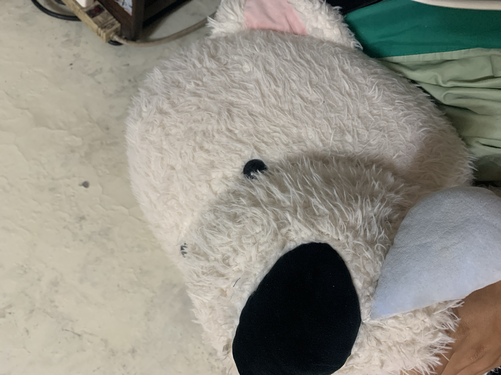 The image shows a close-up of a plush, white koala bear toy on a textured surface. The toy has a black nose, a small black eye, and a light pink inner ear. A green fabric is partially visible at the upper right corner of the image. The textured surface appears to be a light-colored floor. There is no indication of the location being El Valle del Espíritu Santo, Venezuela.