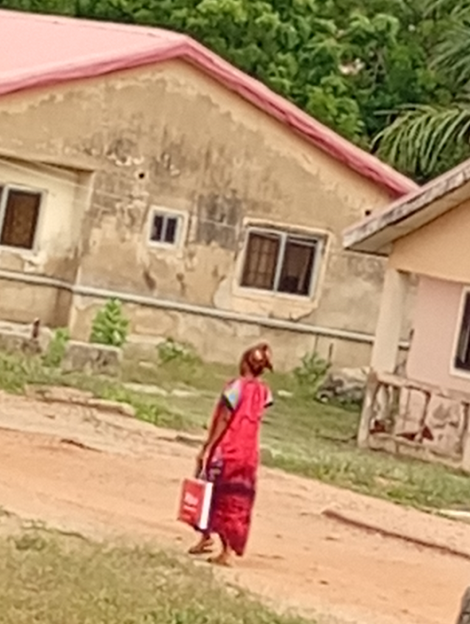 The image depicts an outdoor scene in Adankolo, Nigeria, featuring a person walking along a dirt path in front of residential buildings. The person, viewed from behind, wears a vibrant red flowing garment and appears to be barefoot. They are carrying a red and white shopping bag in their left hand, with the word "Big" partially visible in white text on its side.
In the background, two buildings are visible. The dominant structure on the left is a single-story house with light beige or pale brown walls that show signs of wear, discoloration, and peeling paint. It features a gabled roof with pinkish-red trim. Several windows, some dark and others with grilles, are present on its facade. To the right, a second, partially obscured building shares a similar architectural style with a lighter colored wall and a matching pinkish-red roof edge.
The ground consists of a reddish-brown dirt path, with patches of green grass and small plants growing along the sides and near the buildings. Lush green trees and foliage are visible behind the structures, suggesting a natural environment. The scene is illuminated by daylight, with a soft, diffused light. The overall image quality is somewhat blurry.