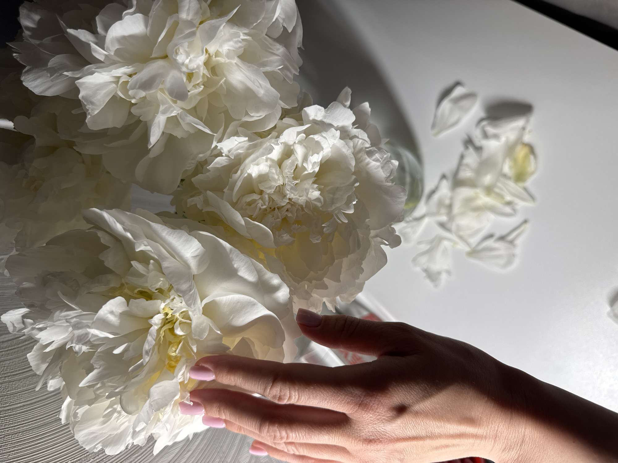 The image shows a close-up view of a bouquet of large white peonies. Scattered petals are visible on a white surface. A hand with light pink painted nails gently touches one of the peony blooms. There is no information available to identify the location as the city of Sochi, Russia.