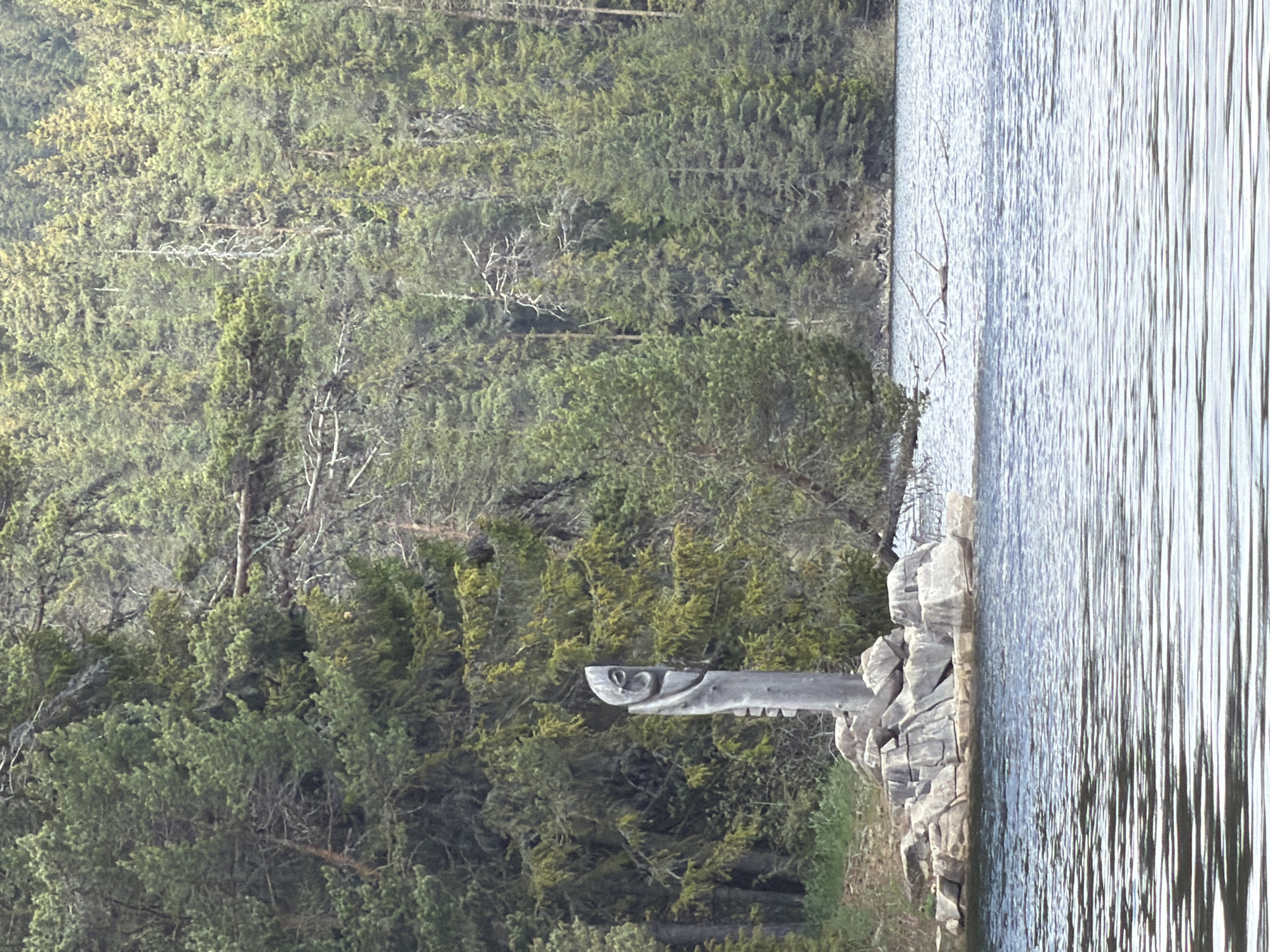 The image depicts a forested area adjacent to a body of water. A wooden sculpture of a fish, possibly a totem or marker, rests on rocks at the water's edge. The water appears calm, with vertical reflections suggesting a serene environment. The location is not specified in the image, thus it is impossible to determine the city or region in which the photo was taken.