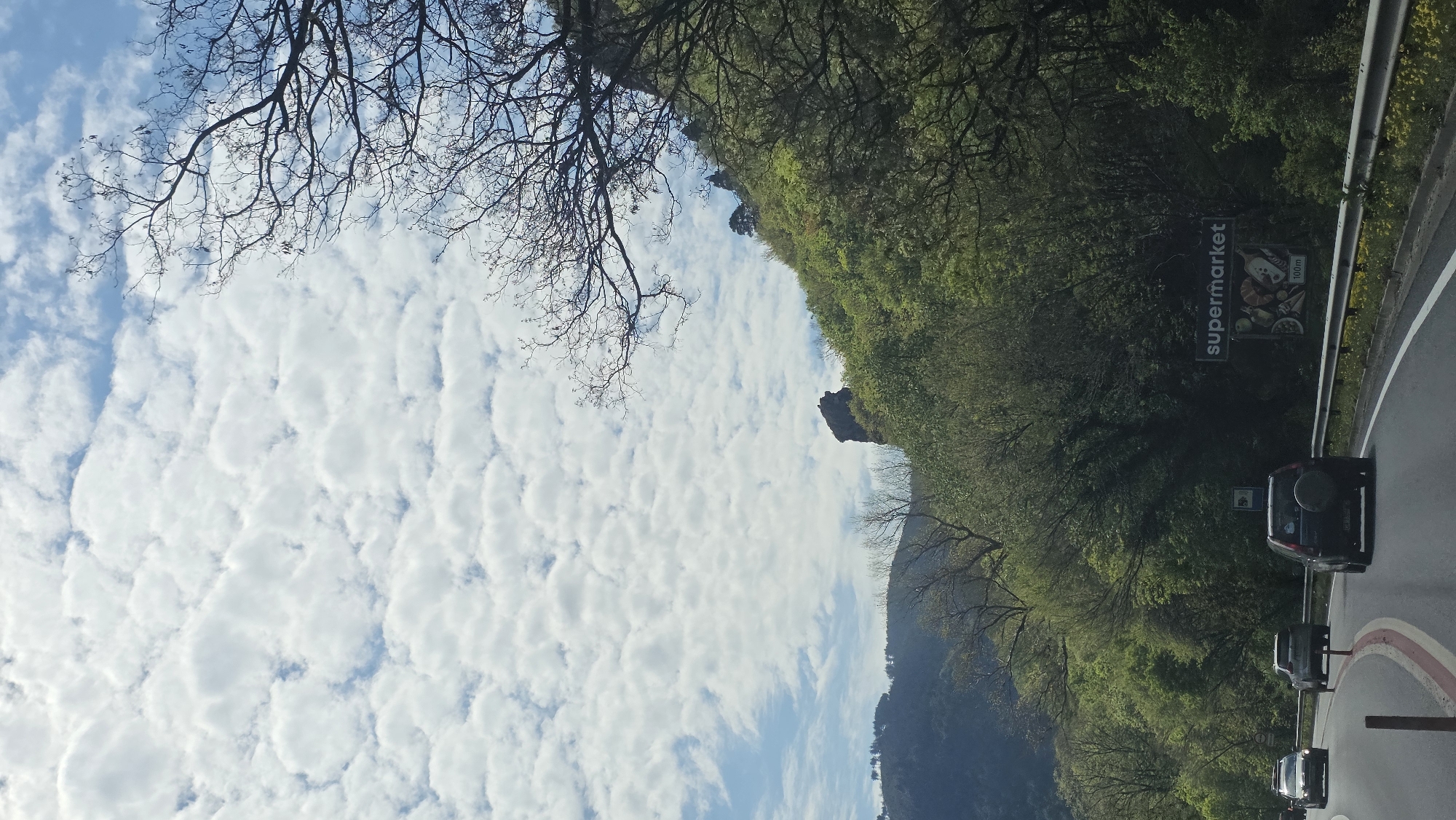 The image captures a roadside scene along a curved road in Stara Kresna, Bulgaria. The sky is predominantly visible, filled with altocumulus clouds and framed by leafless tree branches in the upper left. Lush green trees and mountains occupy the right side of the image. The road, partially visible on the lower right, features several dark-colored vehicles traveling on it. A road-side advertisement sign for a supermarket is also visible.