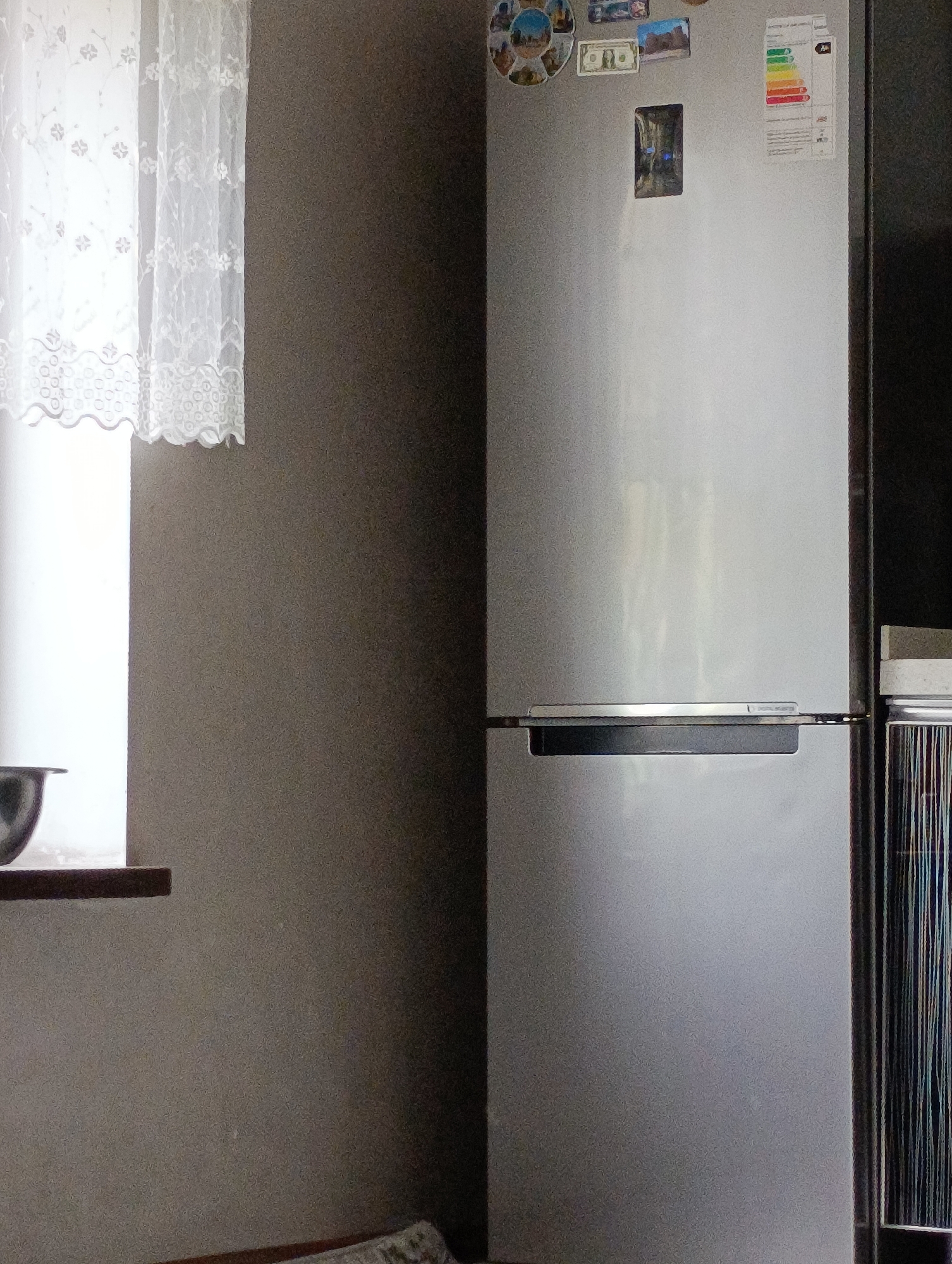 The image shows a silver Samsung refrigerator in a room, likely a kitchen, with a window and white lace curtains on the left side. There are magnets on the refrigerator door, including a picture of a money bill and a circular magnet with multiple images. An energy efficiency label is also visible on the upper right door. Below the upper door, a silver handle is present. To the right of the refrigerator, there is a glimpse of another appliance with vertical stripes. The wall appears to be a neutral gray color. A dark object, possibly a bowl, is partially visible on a shelf beneath the window. The scene does not provide any information about the city of Qiblay, Tajikistan.