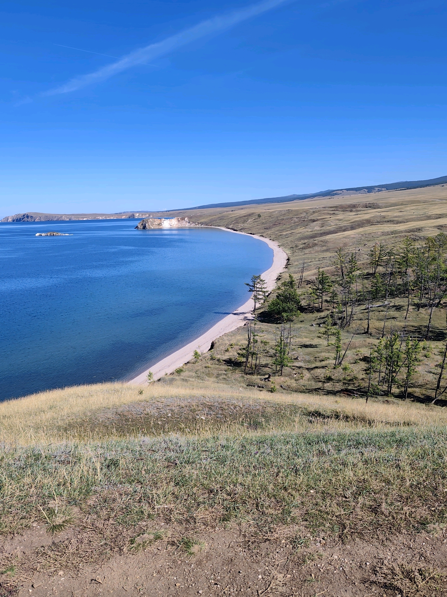 The image captures a scenic view of Lake Baikal near the village of Kharantsy, Russia. The foreground is dominated by a dry, grassy hillside, sloping down towards the beach. The beach itself is a narrow strip of light sand bordering the deep blue, calm waters of the lake. In the mid-ground, a line of sparse, thin trees with green foliage stands on the undulating, dry terrain that characterizes the shoreline. Across the lake, rugged, rocky landforms rise from the water, with a distant, hazy mountain range forming the backdrop under a clear, bright blue sky. The sky features a faint contrail from an aircraft. There are no people or animals visible in the image. The overall impression is one of natural beauty and a remote, unpopulated landscape.
