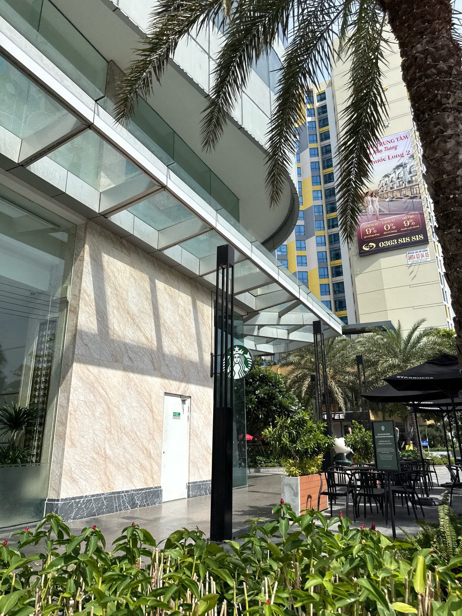 In Nha Trang, Vietnam, a sun-drenched scene unfolds featuring a modern building with a glass facade and a marble-tiled exterior wall. Palm fronds from a mature tree hang over the scene. To the right, a tall building displays a large advertisement with text and images of people, along with phone numbers. The foreground is occupied by lush green plants with small red buds. Adjacent to the building, a Starbucks is visible with its logo, black umbrellas, and outdoor seating, suggesting a commercial district. The overall impression is of a bright, urban environment with elements of nature integrated into the cityscape.