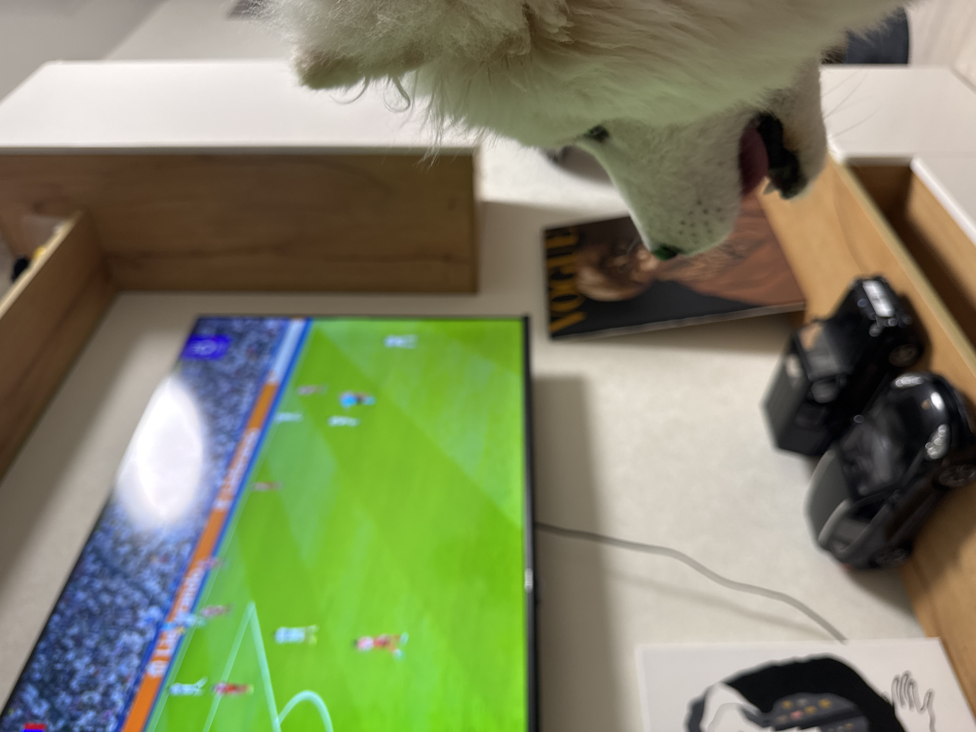 The image depicts a close-up view of a white dog, possibly a Samoyed, with its mouth slightly open. The dog is positioned above a table or desk surface. On the surface, there's a television screen displaying what appears to be a football (soccer) match. Beside the screen, there's a magazine, two black model cars, and a piece of white paper with a black and white drawing. The surrounding environment includes a light-colored wall and wooden shelves. There's no information to suggest the location in the city of Chaikovsky, Russia, is connected to the content of this image.