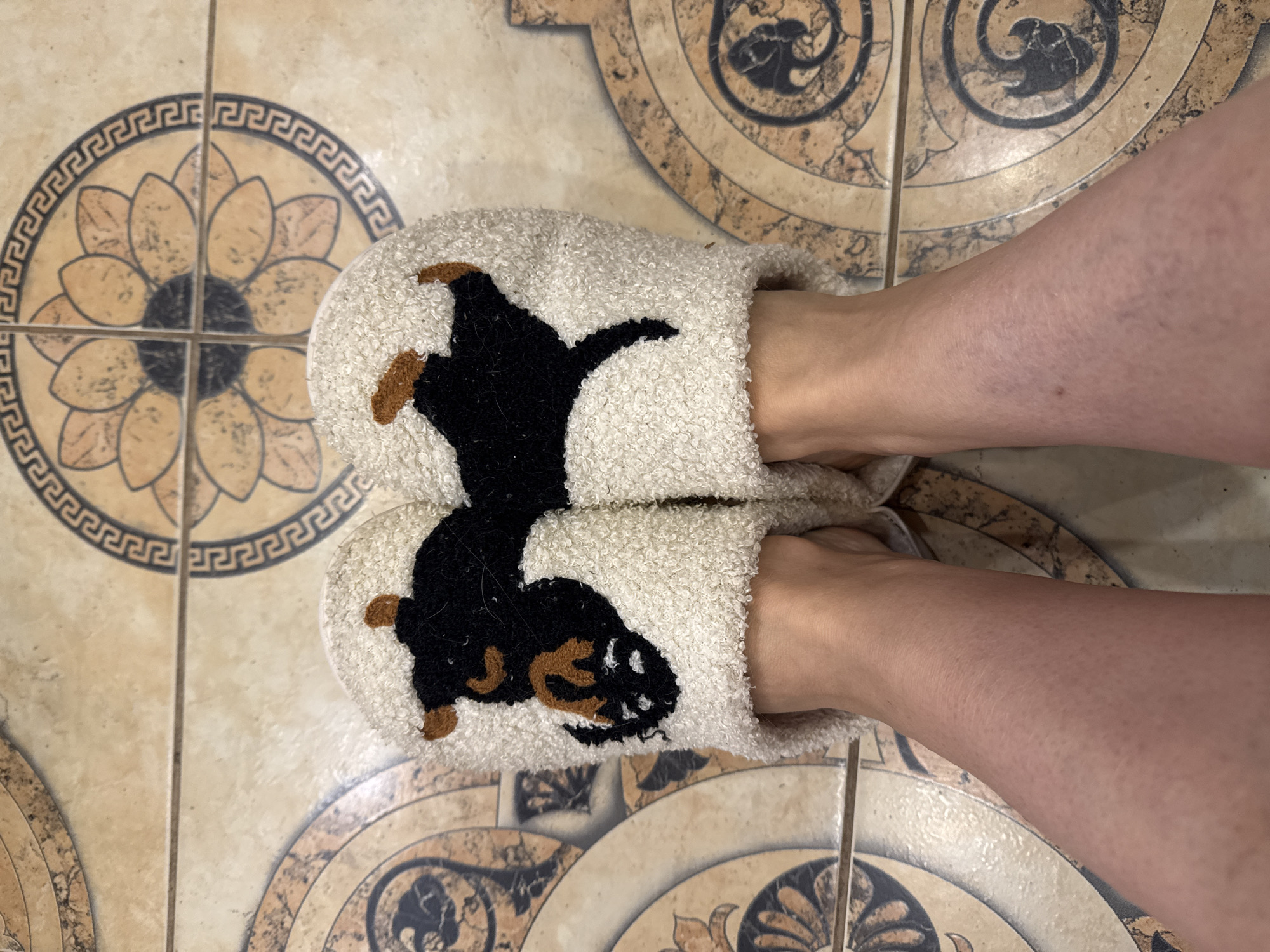The image shows a pair of feet in slippers. The slippers are fuzzy and light-colored, with a black and brown dog design on top. The feet and legs are pale. The slippers are resting on a tiled floor with a circular pattern, reminiscent of ancient Greek designs. The location is Sochi, Russia.