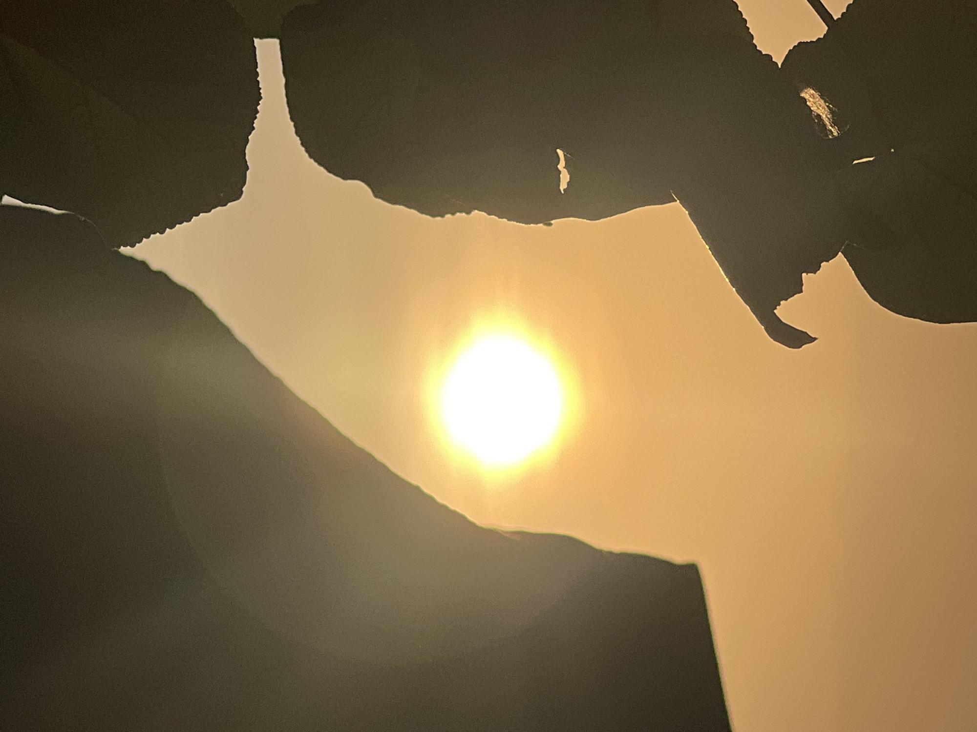 The image shows a close-up view of the sun setting over Kuta, Indonesia. The sun is a bright, glowing orb in the center of the frame, casting a warm, orange light across the sky. In the foreground, the silhouettes of palm fronds and tropical plants are visible, creating a natural frame for the sunset. The overall impression is one of tranquility and natural beauty.