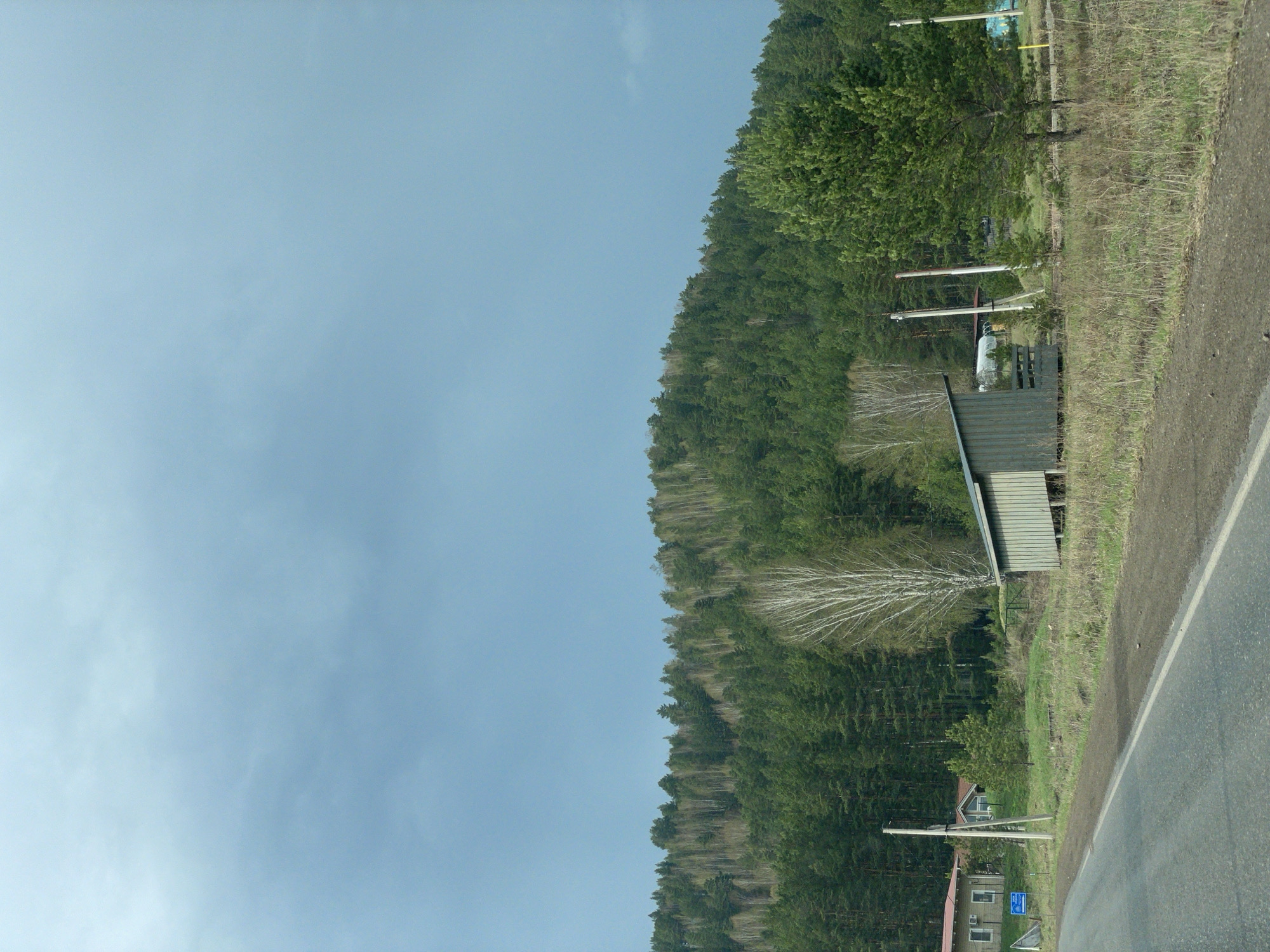 A scenic view in Манский, Russia, features a blend of natural and man-made elements. A road, partly visible, suggests a route through the landscape. Adjacent to the road is a grassy verge, transitioning into a lush, dense forest that stretches into the distance. Scattered along the edge of the forest are a few buildings and utility poles. The sky, dominating a substantial portion of the image, is an overcast pale blue.