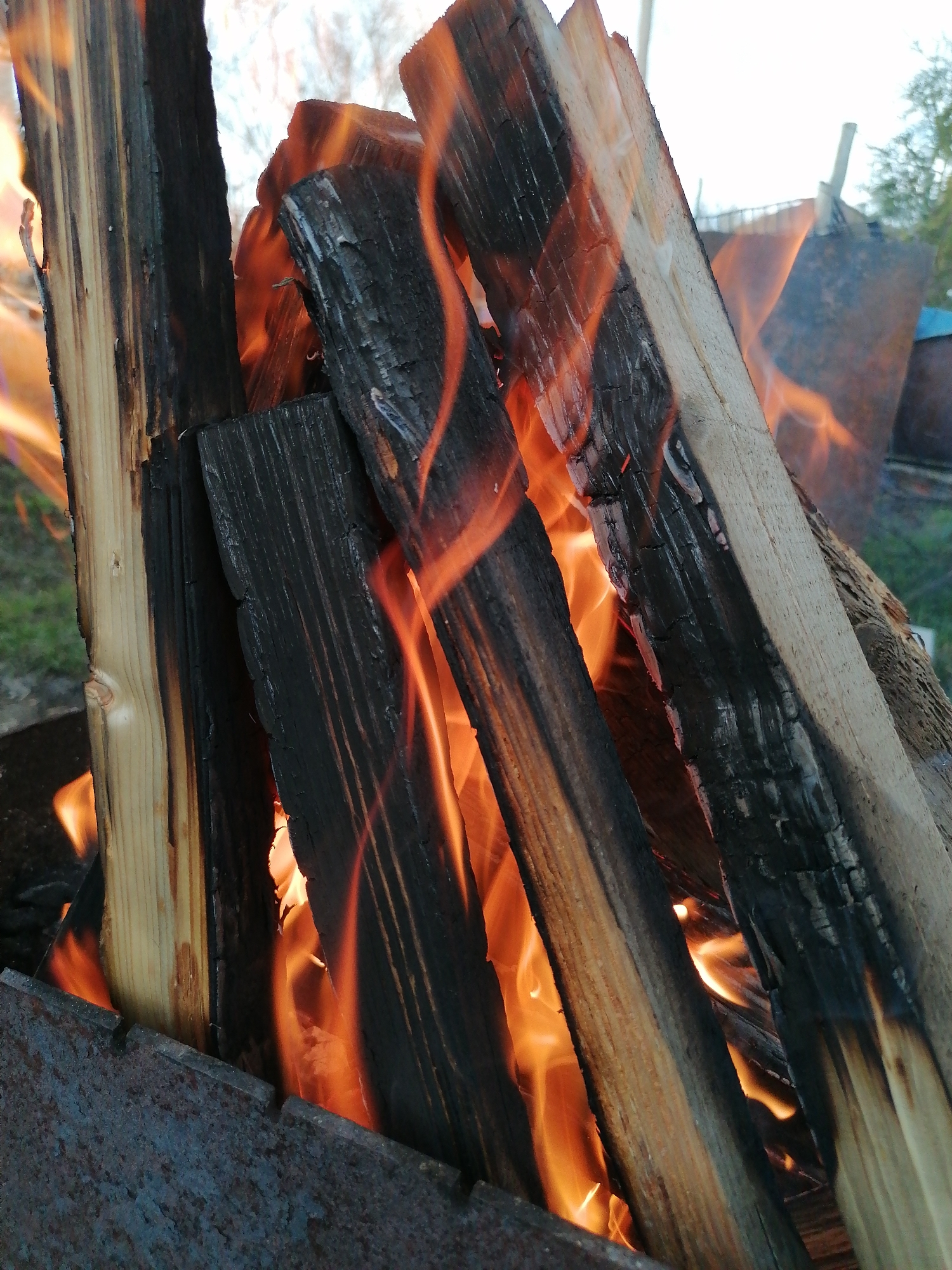The image depicts burning wood in a metal fire pit. The wood pieces are of varying sizes, with some showing charring. Flames are visible between the wood pieces and around the edges. The fire pit's metal edges are rusty. The setting appears to be outdoors, with glimpses of grass and trees in the blurred background. The location is unspecified.