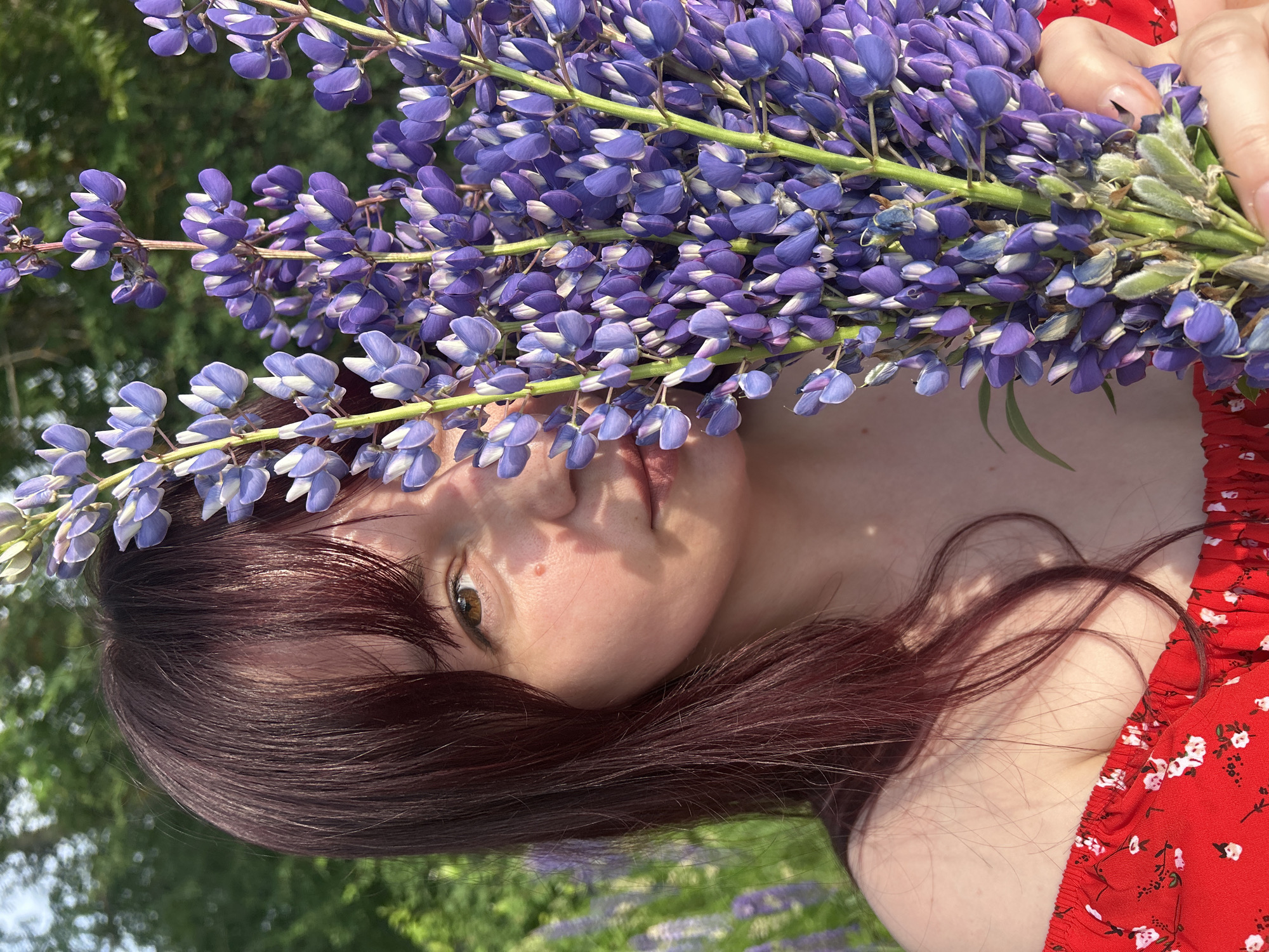 A young woman with dark red hair and fair skin is partially obscured by a bouquet of purple lupine flowers. She is wearing a red off-the-shoulder top with a floral pattern. The image is taken outdoors, with a blurred background of green trees and more lupine flowers, suggesting a natural setting. The lighting indicates it is daytime. The woman's left eye is visible, along with a portion of her cheek and lips. The bouquet is held in her right hand and extends upwards, largely covering the right side of her face and hair. The location is described as a field in the city of Garevaya, Russia.