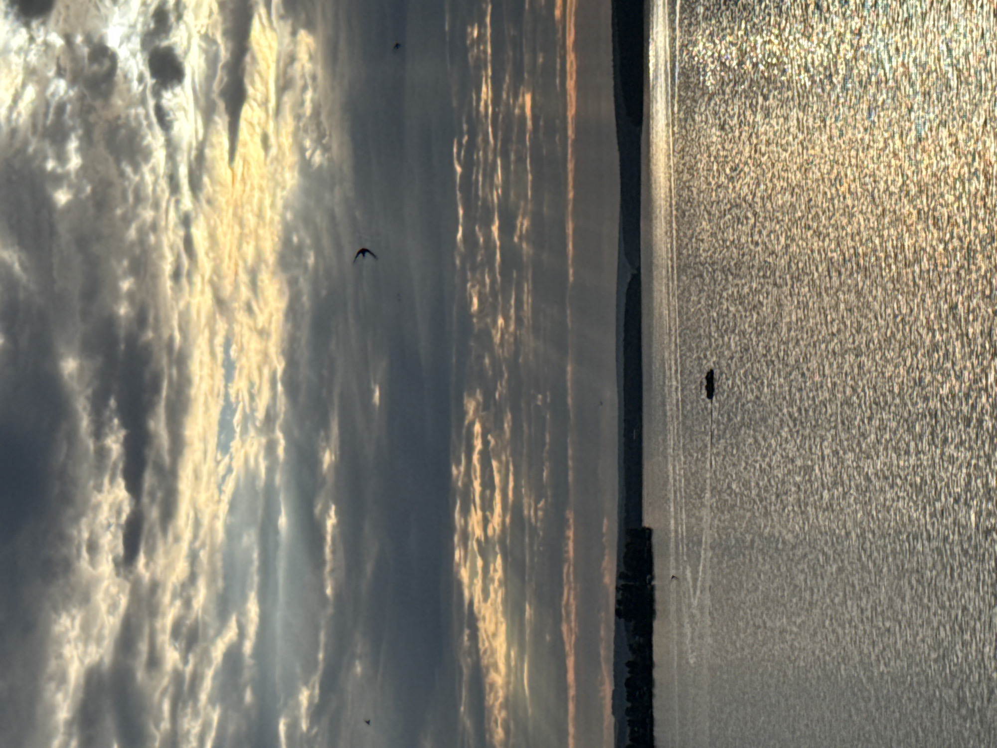 This image depicts a scene at the Votkinsk Reservoir in Votkinsk, Russia. The sky is filled with dramatic clouds, some dark gray and others illuminated by golden sunlight filtering through. Rays of light beam down towards the water. The water's surface is rippled and reflects the sky's light. In the distance, a dark shoreline with trees is visible. There are several small birds in flight, one of which is prominently featured in the upper middle of the frame. A small boat is present on the water, moving from left to right. The overall impression is of a natural landscape, likely at dusk or dawn, given the lighting conditions.