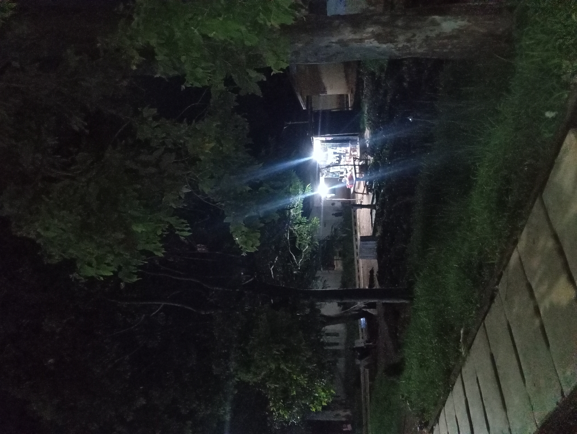 A nighttime exterior scene depicts a sidewalk in the foreground with large, rectangular concrete pavers. To the right of the sidewalk is a grassy area, and beyond that, a dirt area with some scattered debris. In the midground, a small open-air stall is illuminated by bright lights, with tables and items displayed for sale. Several trees with dark foliage are present throughout the scene, some with branches extending into the frame. In the background, the silhouettes of buildings are visible, and a few indistinct figures can be seen near the stall. The overall lighting suggests artificial illumination from the stall, with ambient light contributing to the visibility of the environment.