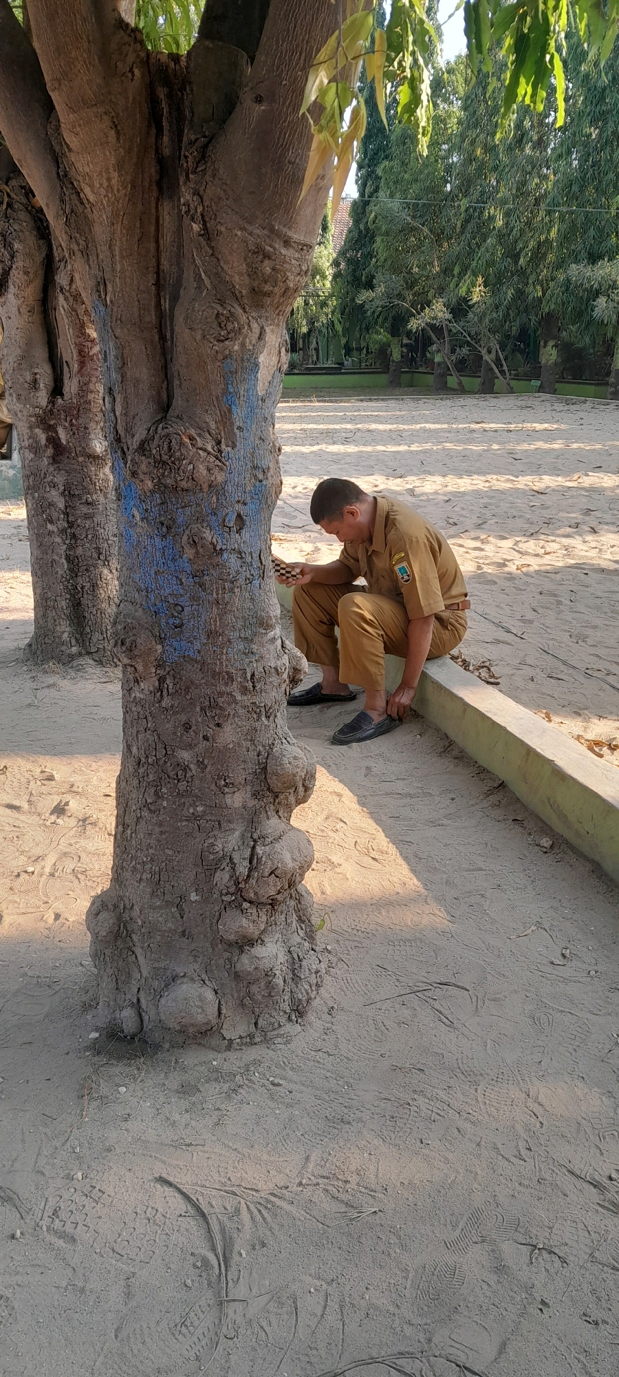 In Tahunan, Indonesia, a man in a tan uniform is seated on a concrete curb next to a large tree. The man is leaning forward and appears to be tying his shoe. The tree has rough bark with blue markings. The ground is sandy with tire tracks and footprints visible. In the background, there are more trees and foliage. The lighting suggests it is daytime, possibly late afternoon due to the shadows.