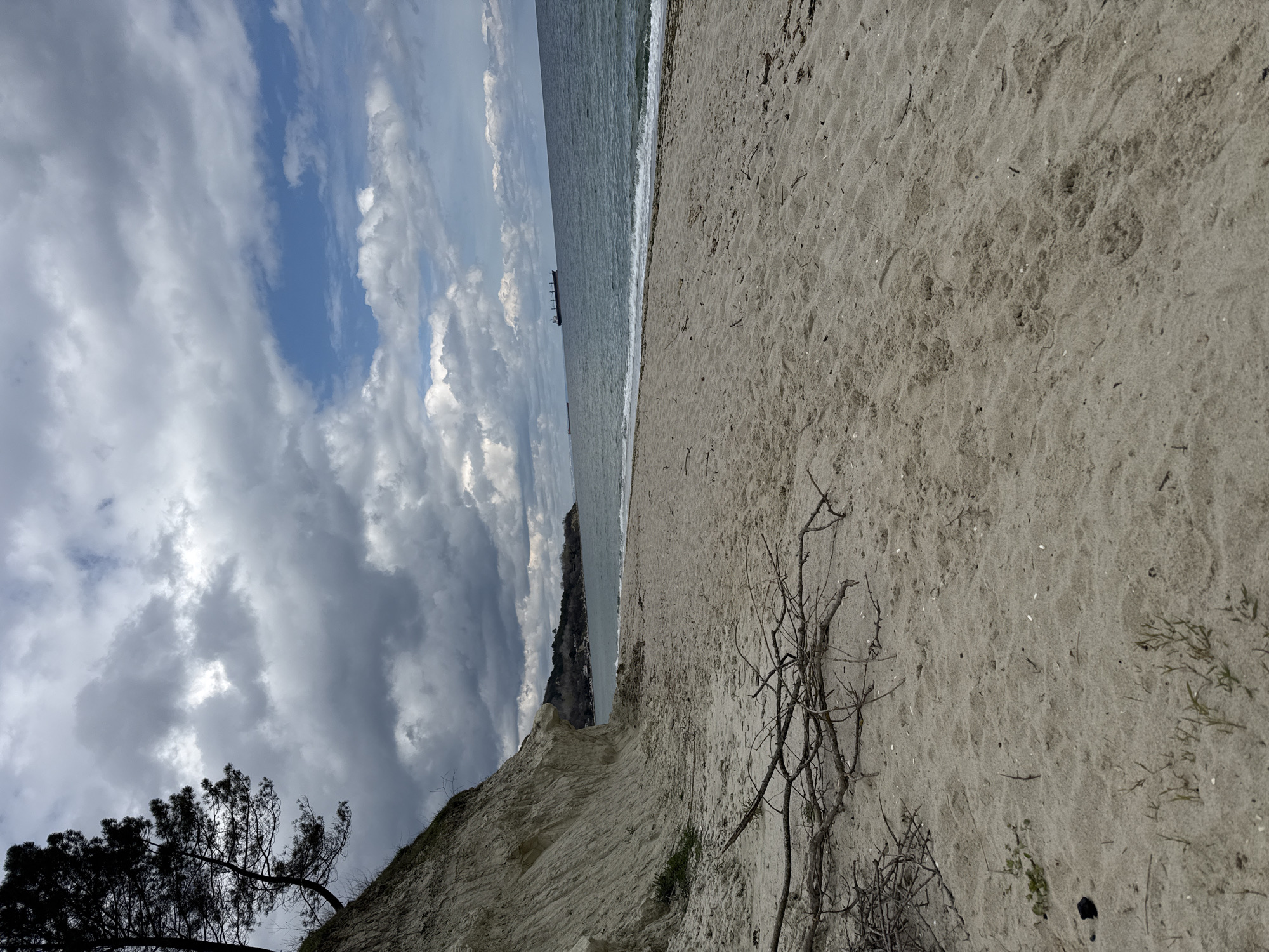 The image depicts a beach scene in Varna, Bulgaria. The view is from an elevated position, likely a cliff, looking down towards the sandy beach and the sea. The sky is partially covered with dark, heavy clouds, with patches of blue sky visible. A small boat is visible on the horizon. The beach is mostly empty, with some dry branches and vegetation in the foreground. The land slopes down to the shoreline, with a light-colored cliff face in the lower left of the image. A tree is growing on the cliff. The sand appears to be somewhat coarse and uneven.