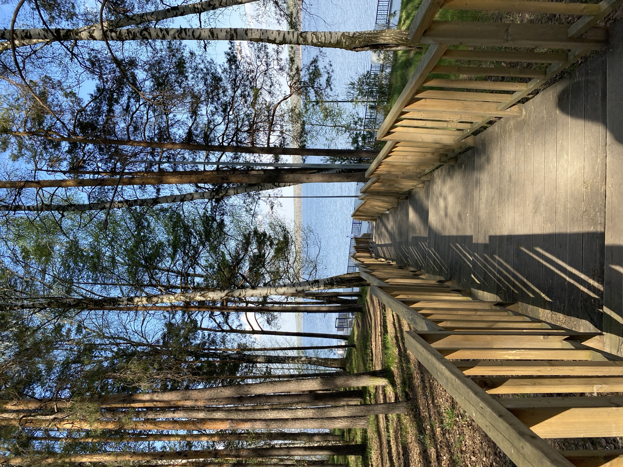 This image depicts a downward view along a wooden boardwalk towards a body of water, likely a lake, in Chaikovsky, Russia. The boardwalk is constructed with wooden planks and railings. Rows of tall trees line the left side of the path, filtering sunlight and casting shadows on the ground. The water is visible between the trees, appearing calm and reflecting the sky. A structure that appears to be a dock or a small building is visible on the water. The lighting suggests it is either early morning or late afternoon. There are no people visible in the immediate scene.