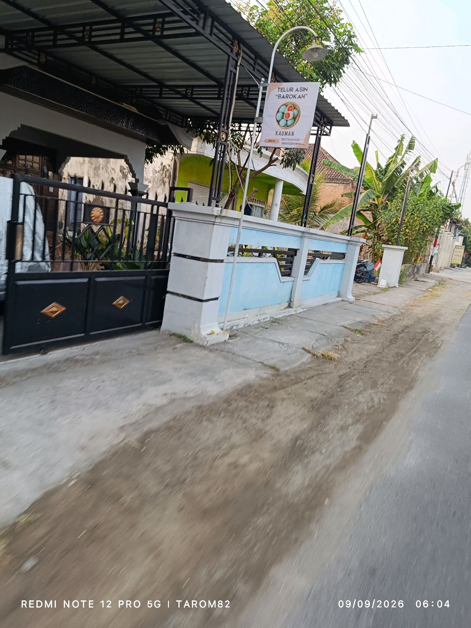 A low-angle, wide shot captures a residential street scene in Ngoro, Indonesia. In the foreground, a paved road shows signs of wear and tear, with patches of dirt and vegetation encroaching on the edges. A concrete sidewalk runs alongside the road, bordered by a low, light blue and white concrete fence. Behind the fence, a black metal gate with gold diamond accents stands before a house. The house features a white facade and a dark metal overhang. To the right of the gate, a street lamp with a white banner hangs, displaying text that reads "TELUR ASIN 'BAROKAH'" and "KAUMAN," along with phone numbers. Further down the street, banana trees and other lush green vegetation line the side of the road, interspersed with more houses. A motorcycle is parked to the right of the fence, with a person wearing a blue shirt and jeans attending to it. The sky above is a pale, overcast blue. The image is also watermarked with the text "REDMI NOTE 12 PRO 5G | TAROM82" in the bottom left corner and "09/09/2026 06:04" in the bottom right corner, indicating the date and time the photo was taken.