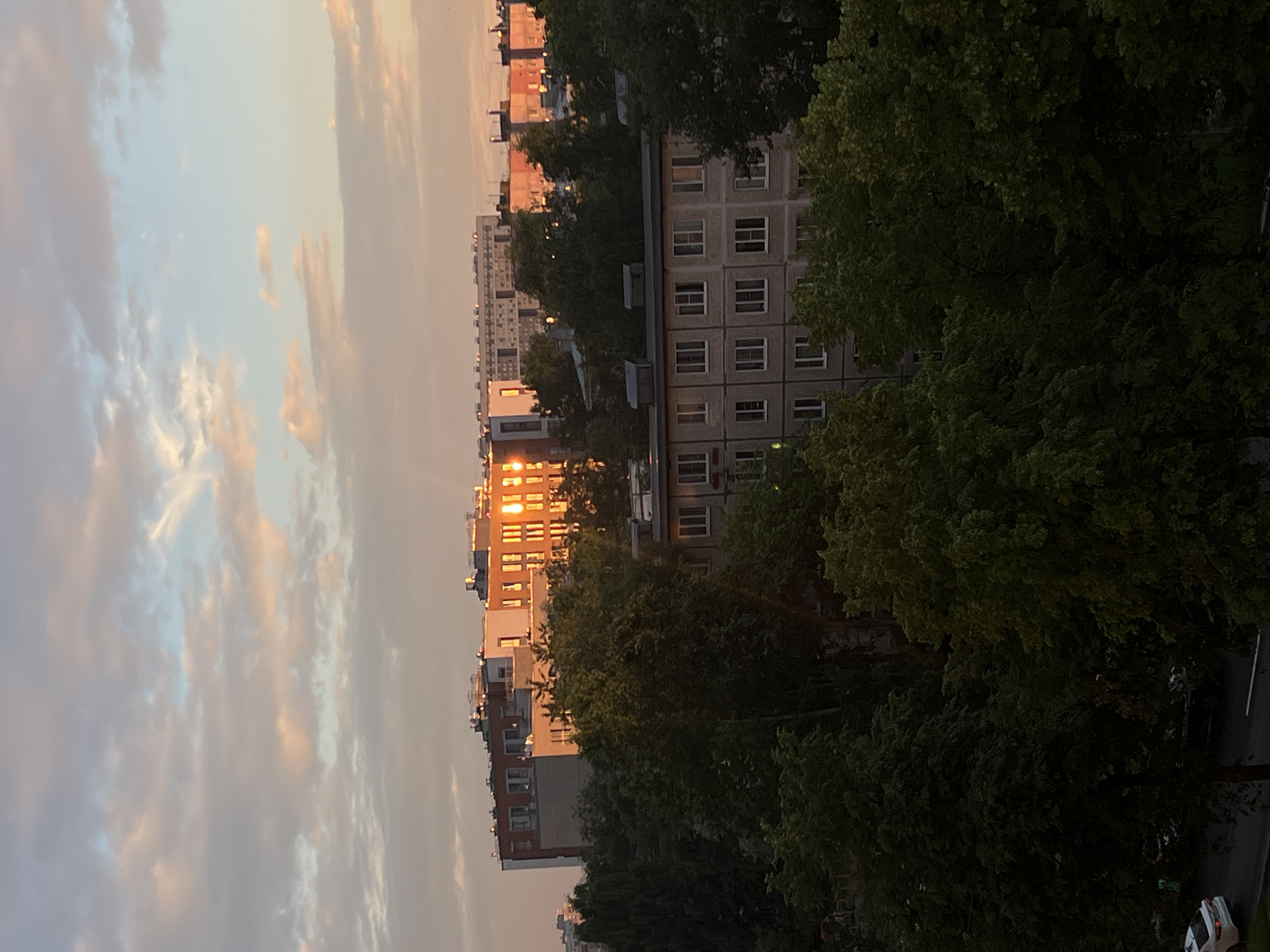 The image depicts a city skyline during sunset, with apartment buildings and lush green trees dominating the scene. The warm hues of the setting sun reflect off the windows of the buildings, creating a golden glow. The sky is filled with soft, diffused clouds, suggesting a calm and serene evening. The architecture of the buildings appears to be of Soviet-era design, common in Saint Petersburg, Russia. The foreground is occupied by a dense canopy of trees, their leaves fully formed, indicating it is likely late spring or summer. The overall atmosphere is tranquil and picturesque, capturing a moment of natural beauty within an urban environment. No people are visible in the frame. The image does not contain any discernible text.
