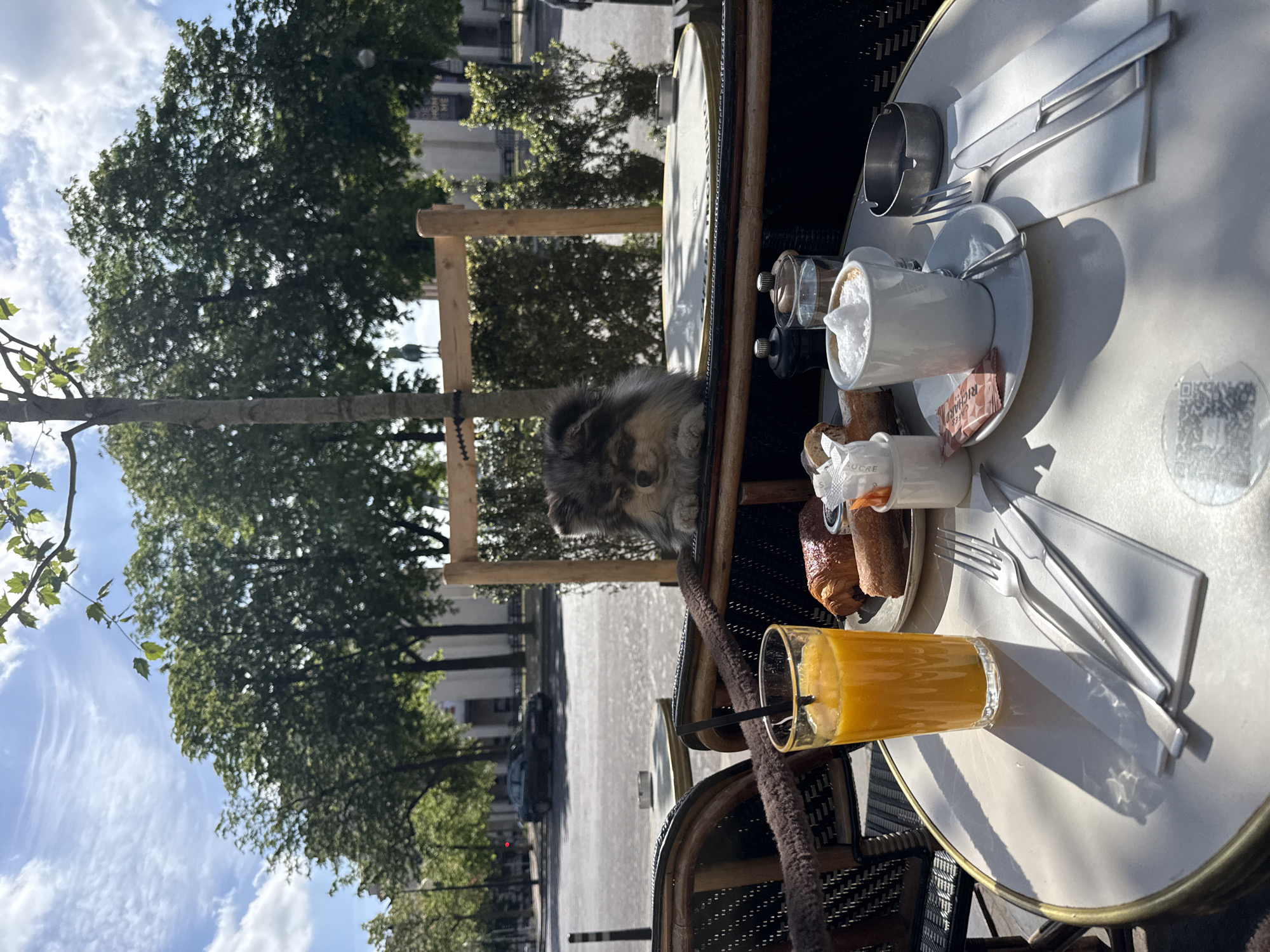 The image depicts a café scene in Paris, France, featuring an outdoor table set for breakfast. The table holds a glass of orange juice, a plate with pastries, a coffee cup with foamed milk, and condiments. Cutlery and napkins are neatly arranged. A dog rests its head between tables, with a street scene in the background that includes trees, buildings, and parked cars. The lighting indicates a sunny day.