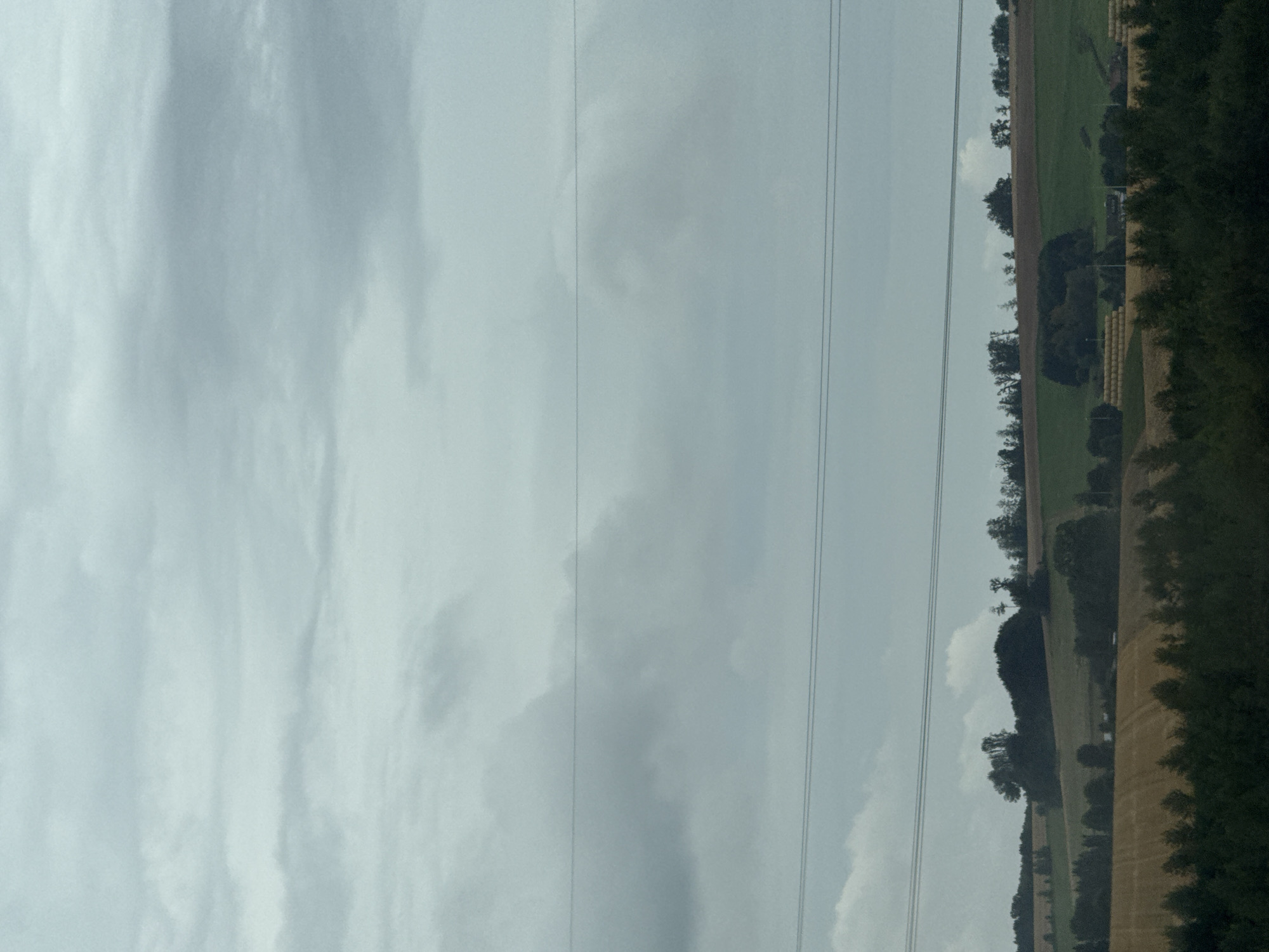 This is a landscape photograph taken from a slightly elevated viewpoint, looking out over rolling hills under a cloudy sky. In the foreground, dark green trees form a dense line across the bottom of the frame. Behind the trees, fields of harvested crops, appearing golden or brown, stretch into the middle ground. Further back, the landscape is characterized by varied terrain with patches of green fields, darker green wooded areas, and some scattered trees. Several rows of power lines are visible across the sky, breaking the expanse of clouds. The sky itself is filled with overcast, grey clouds, suggesting a diffused light or an impending weather change. The scene appears rural, consistent with the outskirts of Bad Lauterberg im Harz, Germany, known for its scenic countryside. No people or specific structures are clearly identifiable in the distance, lending a sense of natural, undeveloped landscape.