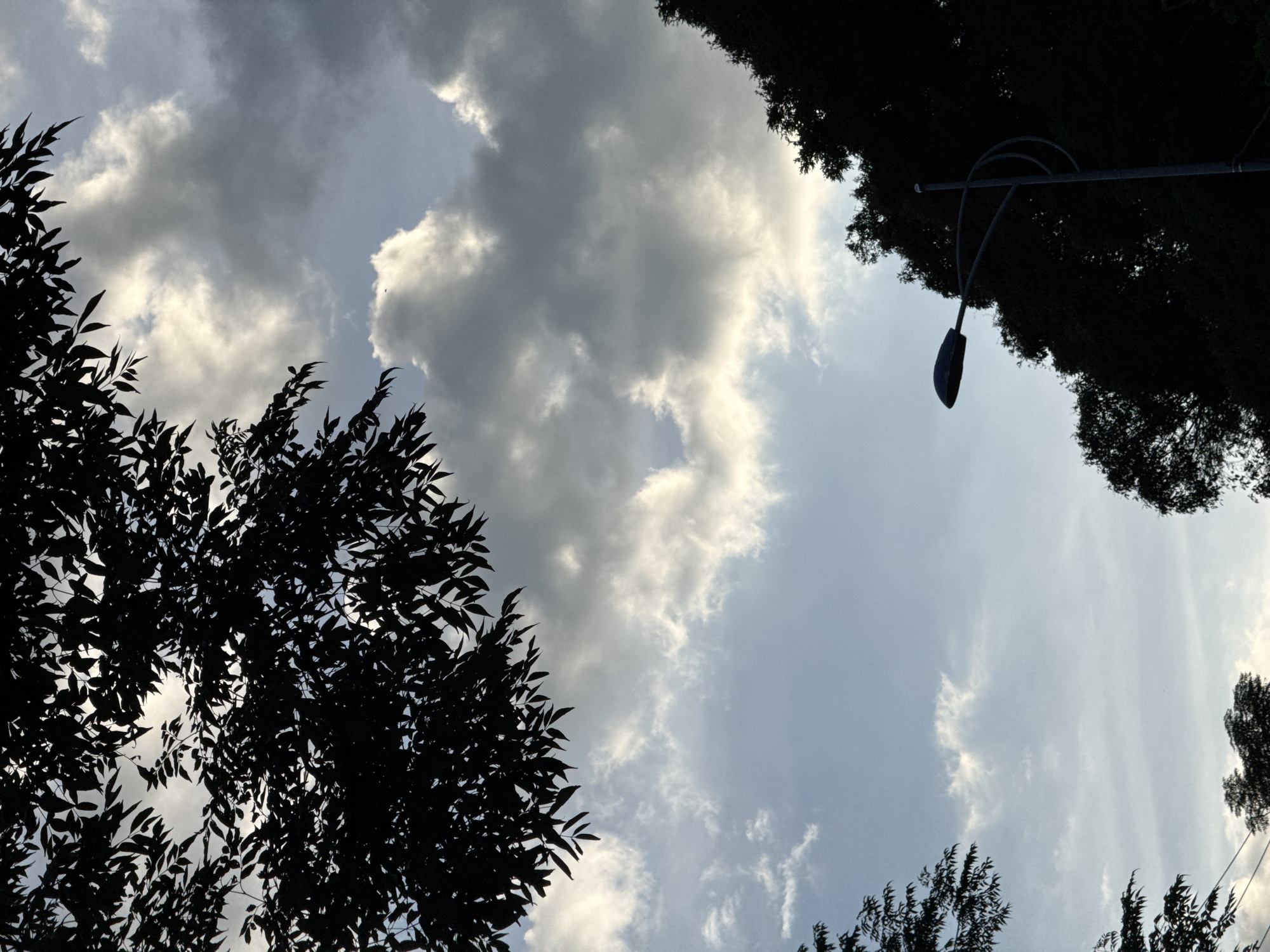 The image depicts a street lamp silhouetted against a cloudy sky, surrounded by the dark foliage of trees. The scene is captured from a low angle, looking upwards. The street lamp is positioned in the lower right quadrant of the frame, with its curved arm extending to the left. The sky is a mix of blue and grey clouds, with some areas of brighter light suggesting the sun is behind them. The trees frame the sky from the top, left, and right edges of the image, their leaves appearing as dark silhouettes. This scene could be found in a park or along a street in the city of Đà Nẵng, Vietnam, where such lamps and trees are common.