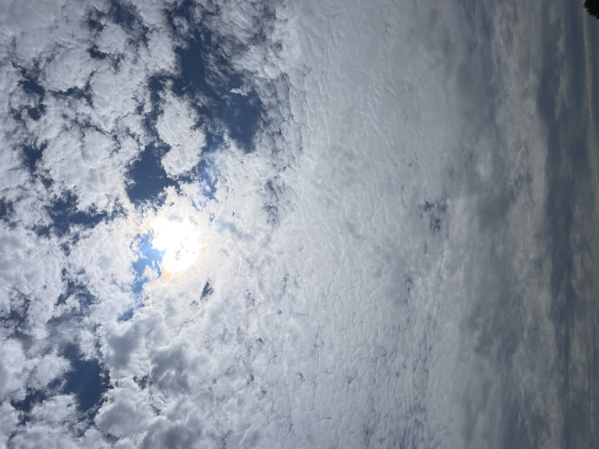 The image depicts a sky filled with a mix of white and gray clouds. The sun is partially visible through the clouds, creating a bright, diffused light source. The clouds are varied in texture and density, with some appearing fluffy and light, while others are darker and more ominous. Patches of blue sky can be seen peeking through the cloud cover. The image appears to be taken from a ground-level perspective, looking upwards at the sky. There are no people, animals, buildings, or any other recognizable objects or structures visible in the frame. The scene suggests an outdoor environment, likely in a location where the sky is open and visible, such as a park or a field. The time of day is difficult to ascertain precisely, but the presence of the sun indicates it is daytime. The specific location in the city of Diepenbeek, Belgium, cannot be determined from the visual information provided in the image.
