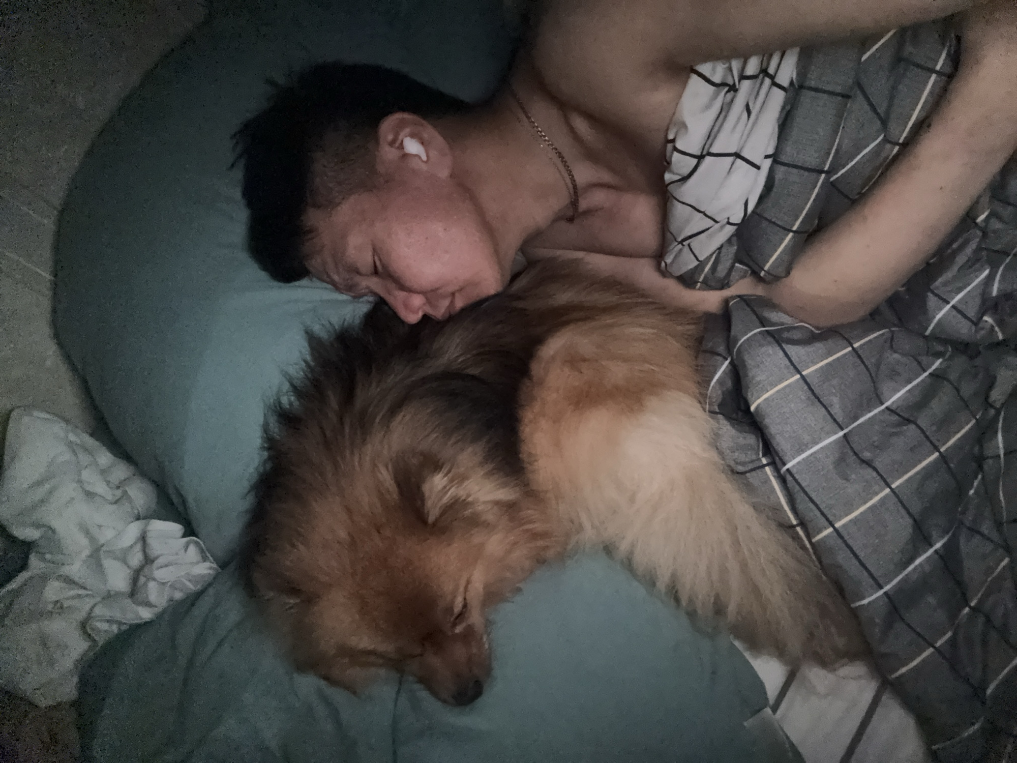 An overhead shot captures a person and a dog peacefully sleeping together on a bed in what appears to be an indoor setting, likely in Khimki, Russia. The lighting is dim, suggesting it is night or early morning.
A male-presenting individual lies on their side, facing right, with their head resting on a dark blue-green pillow. They have short dark hair and fair skin. A thin silver-colored chain necklace is visible around their neck, and a white earbud is inserted into their right ear. Their eyes are closed, indicating sleep.
Curled up closely against the person's chest and neck is a small, fluffy dog, possibly a Pomeranian or similar breed. The dog has multi-toned fur, ranging from dark brown to lighter tan and cream, particularly on its tail and underbelly. Its head is also resting on the blue-green pillow, and its eyes are closed, signifying it is also asleep. The dog's tail, fluffy and lighter in color, extends towards the right side of the frame, partially covered by the blanket.
Both subjects are partially covered by a gray blanket or duvet featuring a grid pattern of black, white, and thin beige lines. Another crumpled, lighter-colored fabric or sheet is visible on the bed in the lower left corner. The scene evokes a sense of tranquility, comfort, and companionship between the person and their pet. No specific location cues are visible within the image itself beyond the indoor setting, and there is no visible text. The weather is not discernible.