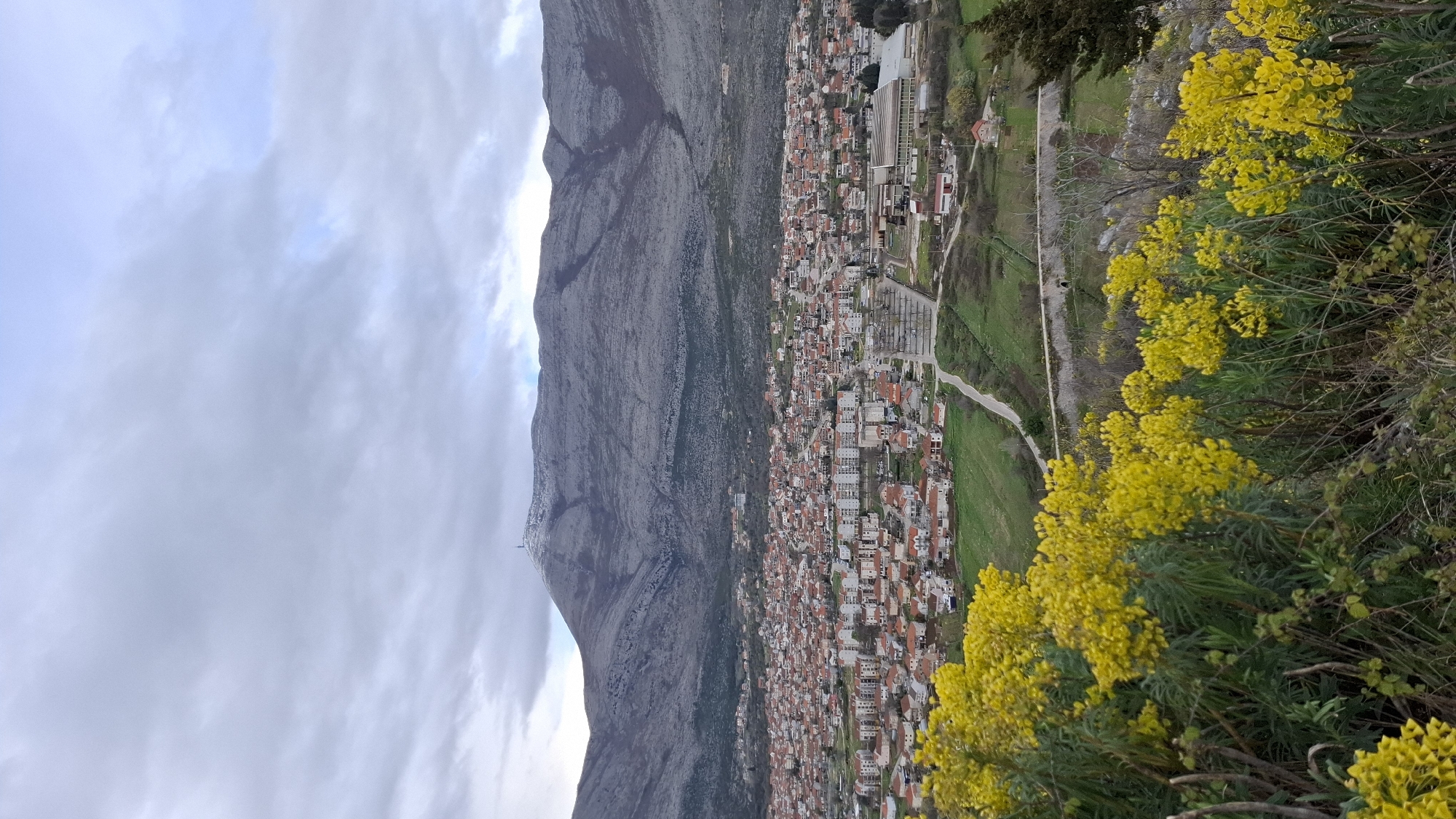 An elevated view captures the city of Trebinje, Bosnia and Herzegovina, under an overcast sky. The immediate foreground is densely populated by flowering plants exhibiting numerous bright yellow blossoms and green foliage. Directly behind these plants, the urban landscape of Trebinje extends across the midground, featuring a multitude of residential buildings, predominantly with red-tiled roofs, interspersed with multi-story apartment structures and green spaces. A paved road is visible traversing a lower section of the city. In the background, the large, grey, rocky expanse of Mount Leotar rises prominently, its peak displaying a communication tower and scattered patches of white material. The sky above is uniformly covered with grey clouds. No human figures or active elements are observed within the frame.
