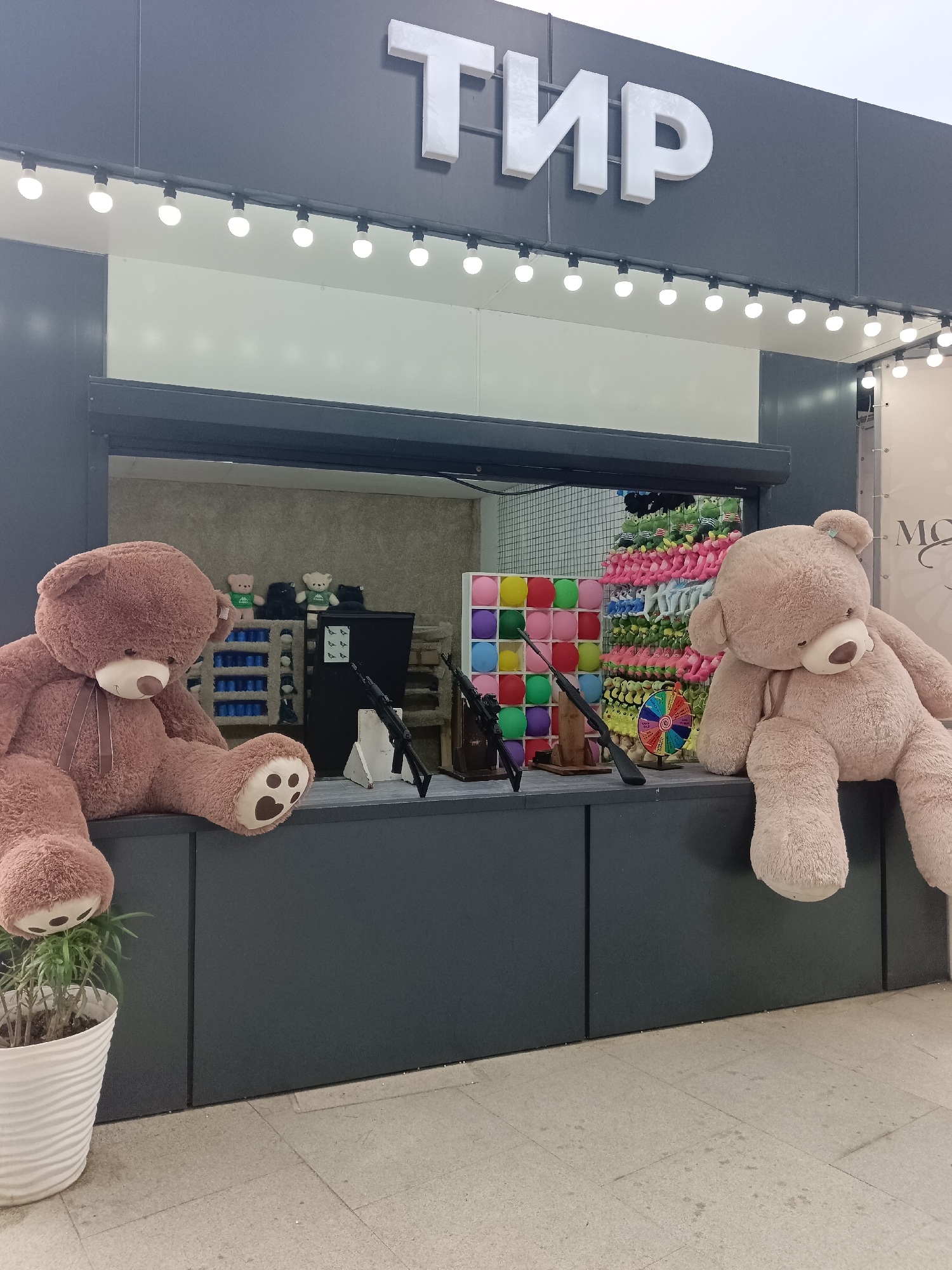 The image shows an outdoor carnival game stall, likely a shooting gallery, in Sochi, Russia. The stall features a prominent sign above with the word "Тир" (Tir), which translates to "Shooting Range." Two oversized teddy bear mascots are seated on the counter, one brown on the left and a lighter brown on the right. The stall is equipped with what appear to be toy rifles displayed on the counter, and behind them are rows of colorful prizes, including stuffed toys and a target board with colorful balloons. A potted plant sits to the left of the brown teddy bear. The overall scene suggests a recreational area designed for games and entertainment.