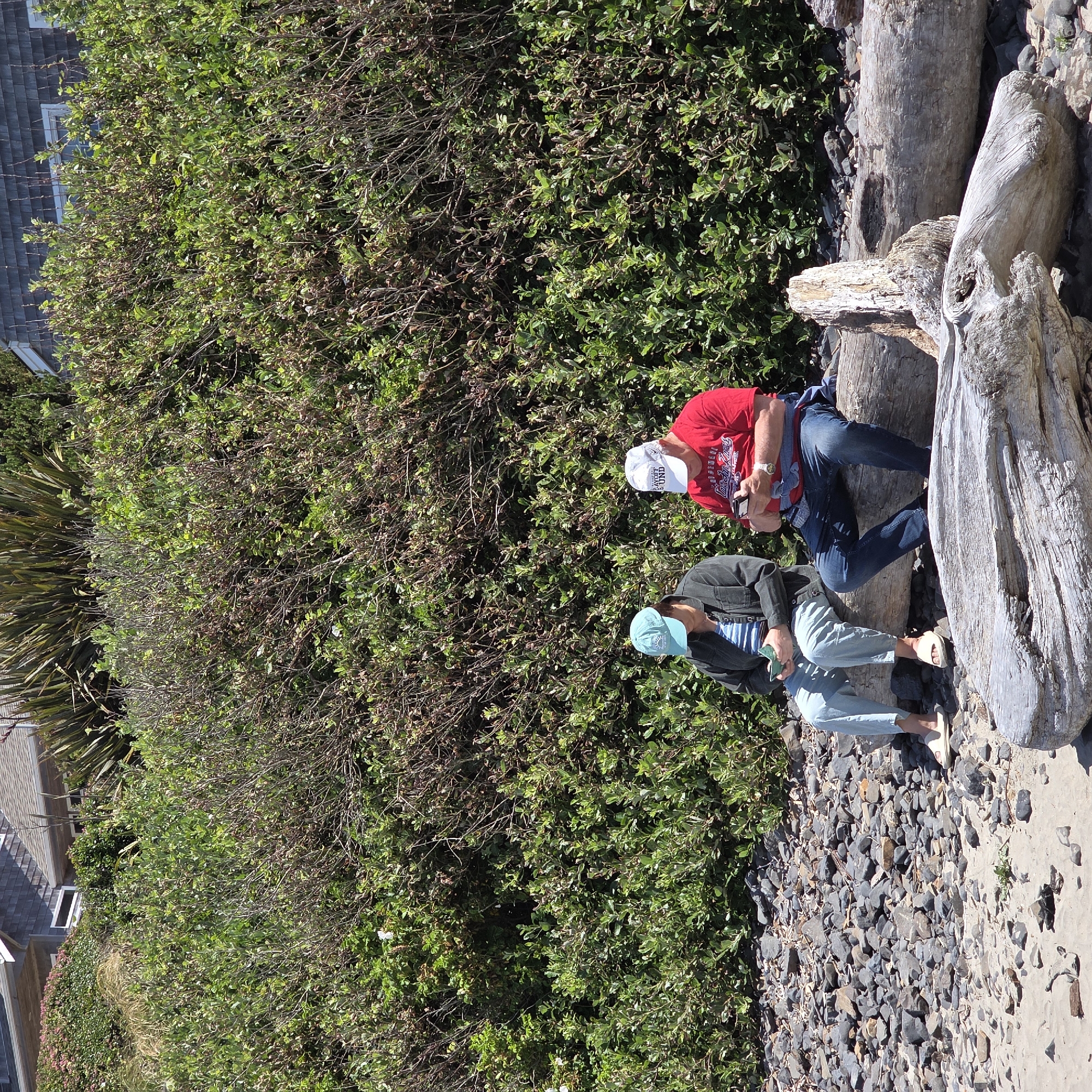 The image depicts two individuals seated on driftwood logs on a beach in Cannon Beach, Oregon, United States of America. The foreground is occupied by several large, weathered driftwood logs scattered across the sand and pebbles. Behind the logs, two people are visible. On the left, a person wearing a blue baseball cap, a dark jacket over a striped shirt, and light blue pants is looking down at a green object in their hands, likely a phone. They are wearing light-colored sandals. To their right, a person wearing a white baseball cap with black text, a red t-shirt, and blue jeans is also looking at a dark object in their hands, presumed to be a phone. A blue jacket is tied around their waist. They are wearing a wristwatch.
The background consists of a dense, green hillside covered in foliage, with some dry, brown branches interspersed. A portion of a building with grey shingles and a visible window is situated at the top of the hillside. The overall lighting suggests a bright, sunny day.