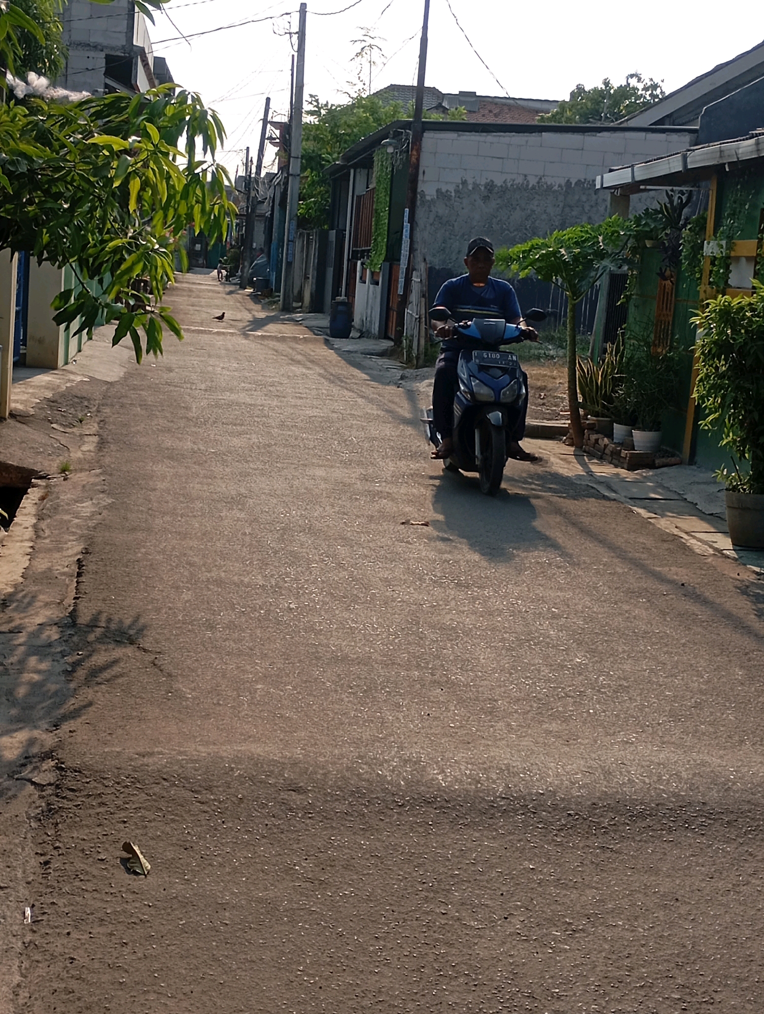 The image depicts a street scene in Babelan, Indonesia, bathed in the warm light of a late afternoon sun. A man rides a dark blue motorcycle down the paved street, wearing a dark cap and a horizontally striped shirt. The motorcycle's license plate, "B 6100 AN," is partially visible. The street is lined with modest buildings, some appearing to be residential, with a mix of concrete, corrugated metal, and brick construction. Green foliage, including the leaves of a tree in the foreground and potted plants along the side of the road, adds touches of nature to the urban environment. A bird is visible on the street in the middle distance. The overall impression is one of everyday life in a densely populated area.