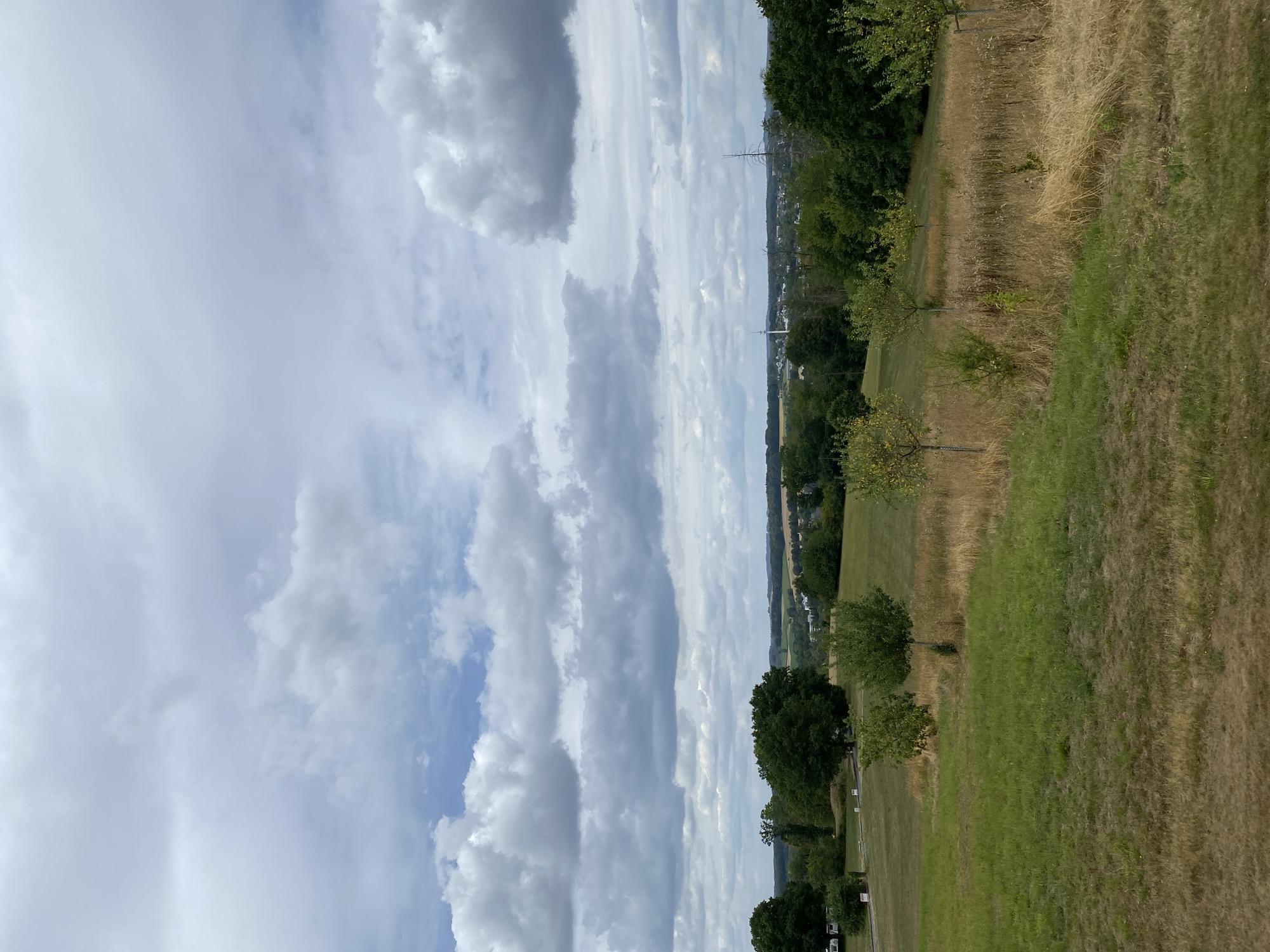 The image depicts a scenic landscape with a cloudy sky. In the foreground, a grassy field transitions into dry, golden grass, interspersed with a few small trees. In the middle ground, a line of mature trees forms a natural barrier, beyond which lies a town or village. A white tower, possibly a church steeple or a communication tower, is visible in the distance within the town. The background consists of rolling hills and more distant trees under a dramatic, overcast sky. The overall scene suggests a rural or semi-rural environment. The location is identified as Altenkirchen, Germany. There are no people or animals visible in the image.