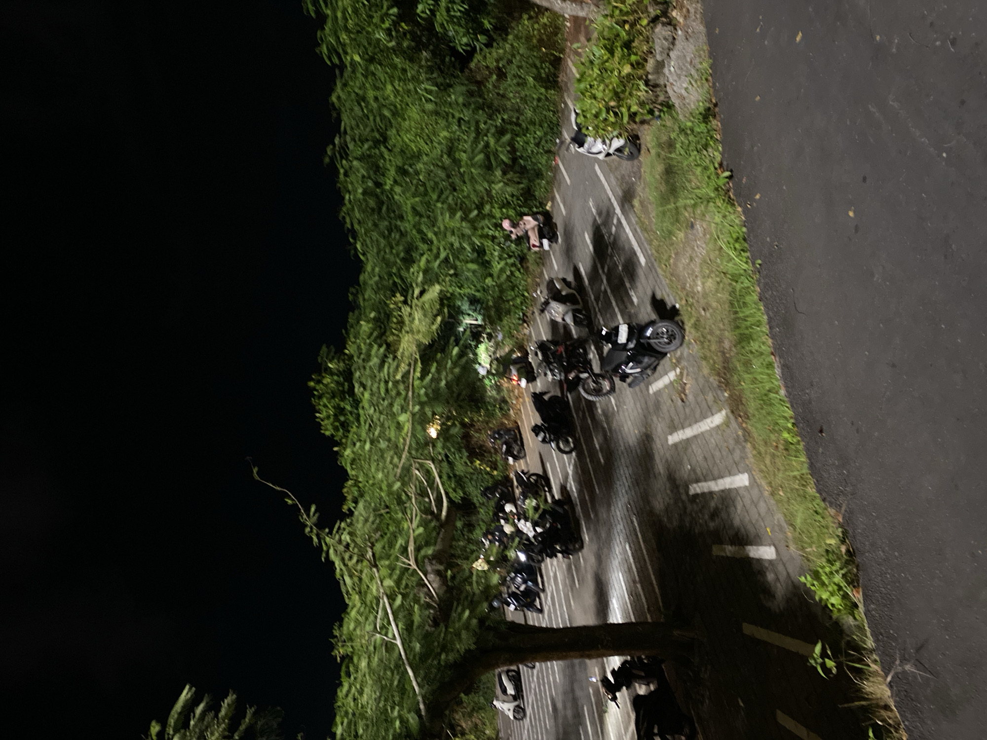 The image depicts a nighttime scene in an outdoor parking lot. Numerous scooters and motorcycles are parked in designated spots. The parking lot is bordered by lush green foliage, suggesting a possibly tropical or temperate environment. A large tree with sprawling branches is prominent in the foreground, casting shadows on the pavement. The lighting suggests artificial illumination, possibly from streetlights or building lights, creating a dimly lit atmosphere. The overall impression is one of a quiet, unoccupied parking area at night, with vehicles at rest.
