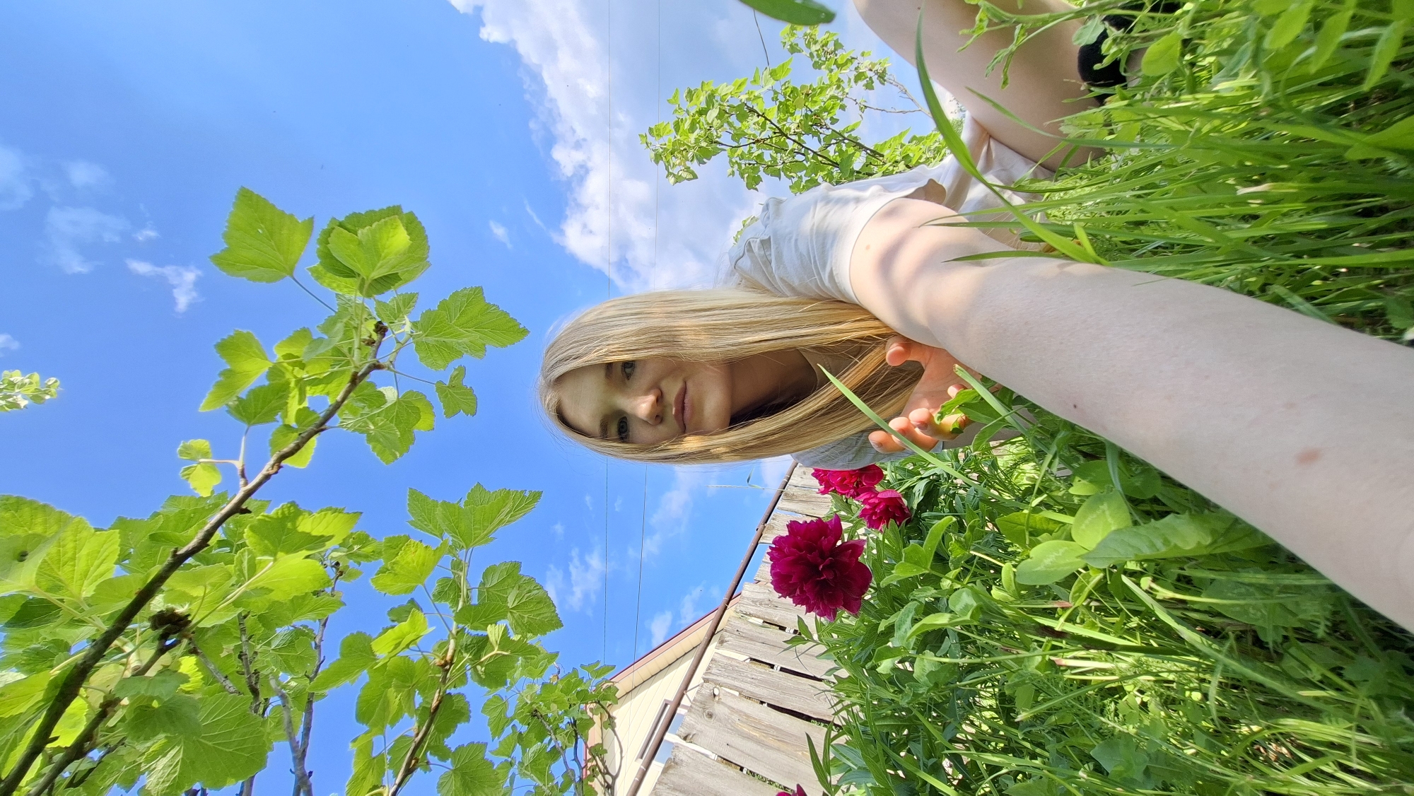 This is a first-person perspective selfie taken outdoors in a garden, likely during the daytime under a clear, blue sky with scattered white clouds. The subject, a young woman with long blonde hair, is positioned in the lower center of the frame, looking towards the camera. She is wearing a white t-shirt and appears to be lying or crouching down amidst lush green grass and foliage.
In the foreground, to the left, are branches of a plant with vibrant green leaves, suggesting it might be a bush or tree. To the right and slightly behind the subject, there are two large, deep pink peony flowers in bloom. A rustic wooden fence can be seen in the background, behind the flowers and to the right of the subject, with a portion of a building visible behind the fence.
The angle of the shot, looking up towards the sky and down towards the ground and the subject's face, creates a dynamic and immersive feel. The sunlight casts a warm glow, highlighting the textures of the grass and the subject's skin. The overall mood appears relaxed and cheerful, suggesting a leisurely activity in nature. There is no visible text in the image. The location context provided places this scene in Большой Букор, Russia.