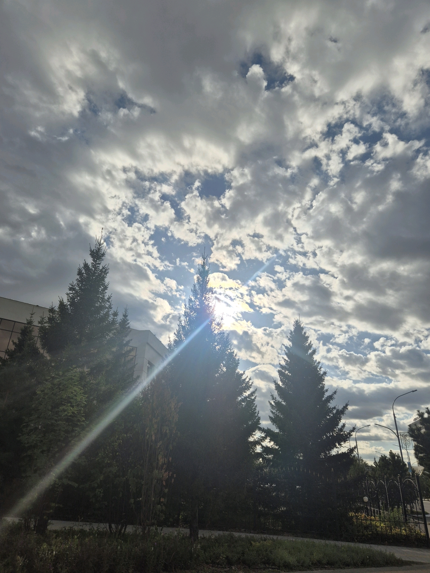 A low-angle, medium shot captures a sunlit sky filled with dramatic, textured clouds, interspersed with patches of blue. The sun is partially obscured by the clouds, creating bright rays that pierce through. In the foreground, silhouetted evergreen trees stand tall, their dark green needles contrasting with the bright sky. A lens flare, streaking diagonally from the lower left to the upper right, adds a dynamic visual element. Behind the trees, the upper portion of a light-colored, modern building with reflective windows is visible. Further to the right, a black wrought-iron fence lines a pathway, and streetlights are present. The scene appears to be outdoors, possibly in an urban park or along a street in Kokshetau, Kazakhstan, given the architecture and landscaping. There are no people or animals visible in the image.