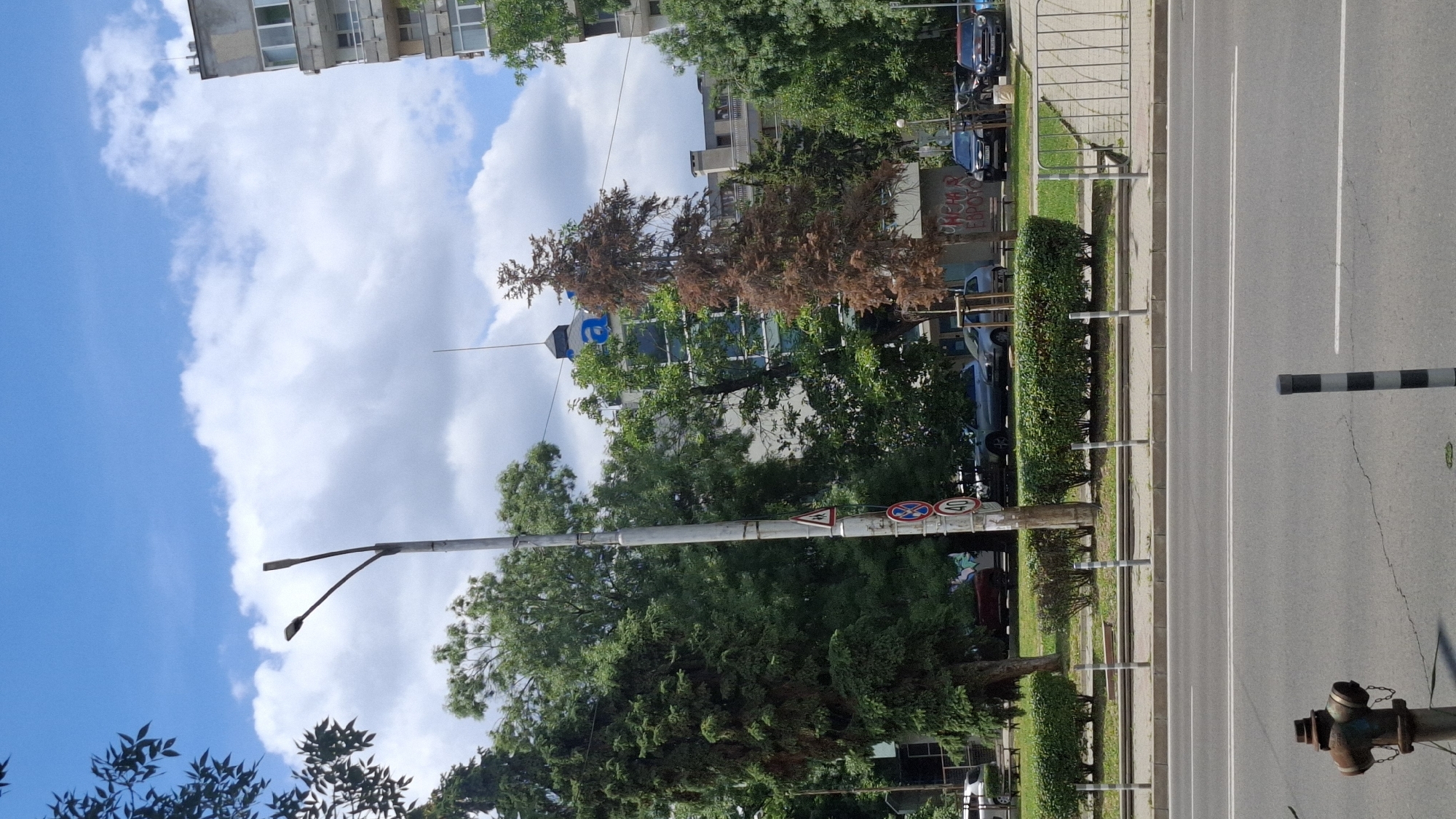 The image shows a street scene in Sofia, Bulgaria, on a sunny day with scattered clouds. In the foreground, a two-lane asphalt road is visible with white lane markings. To the left, a rusty fire hydrant stands on the sidewalk. Further back, a green hedge runs along the edge of a park area. A lamppost with two lights stands in the middle of the frame. Behind the lamppost, a large tree with brown, dry foliage is prominent. Several cars are parked along the street. In the background, buildings of varying heights are visible, some with windows and balconies. One building has a large blue letter 'a' on its facade. The sky is bright blue with fluffy white clouds.