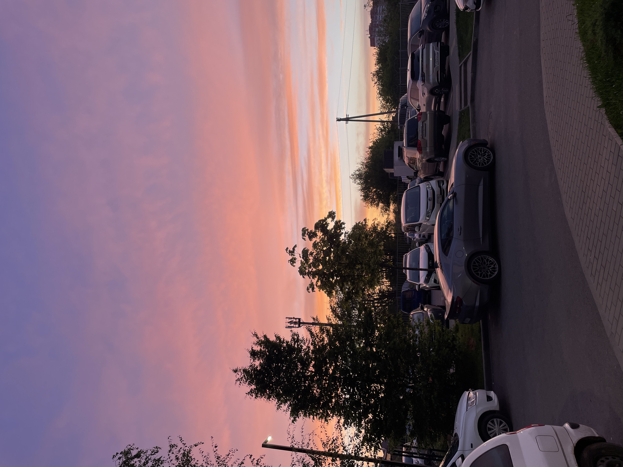 The image shows a street scene in Krasnodar, Russia, at sunset. The sky is filled with pink and purple hues. Cars are parked along the right side of the road, and trees line the sidewalk. The perspective is from ground level, looking up at the sky. A lamppost and power lines are visible among the trees.