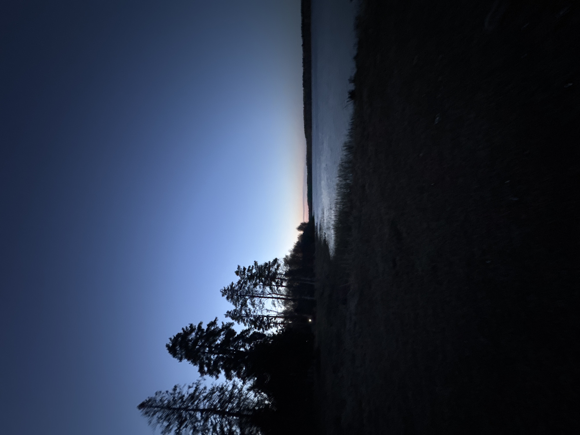 A dark landscape photograph shows a shoreline with trees silhouetted against a twilight sky. The sky transitions from a deep blue at the left to a lighter shade near the horizon. A body of water extends towards the horizon, reflecting the remaining light. The right side of the image is dominated by dark vegetation and ground. There are no people visible. There is no information about the location being in the city of Aleksandrovka, Russia.