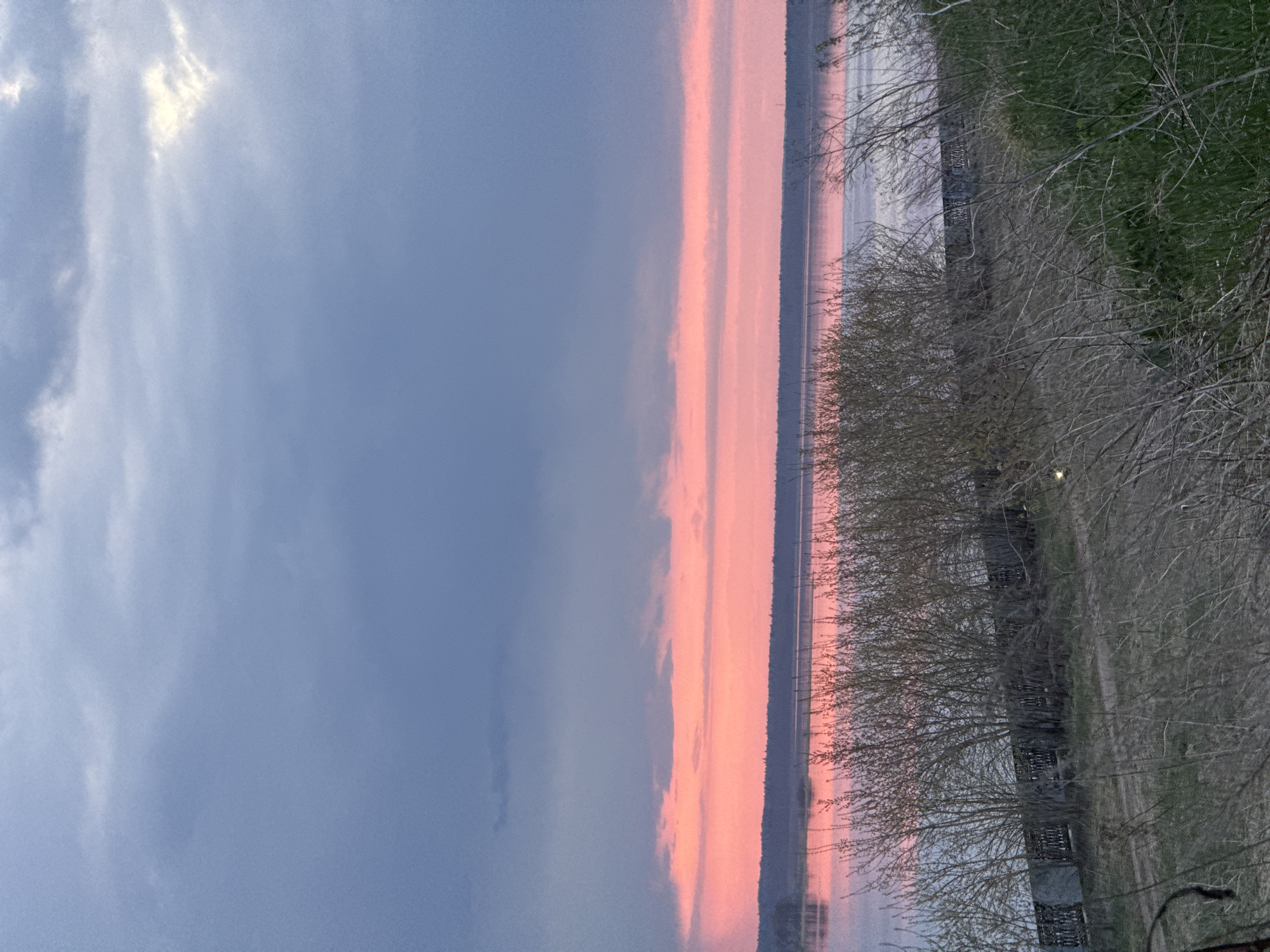 The image depicts a landscape at sunset, likely taken near a body of water. The sky is divided between a blue-grey area on the left and a pink-orange band on the right, indicating the setting sun. A line of trees with bare branches runs along the right side of the image. The location may be Izhevsk, Russia.