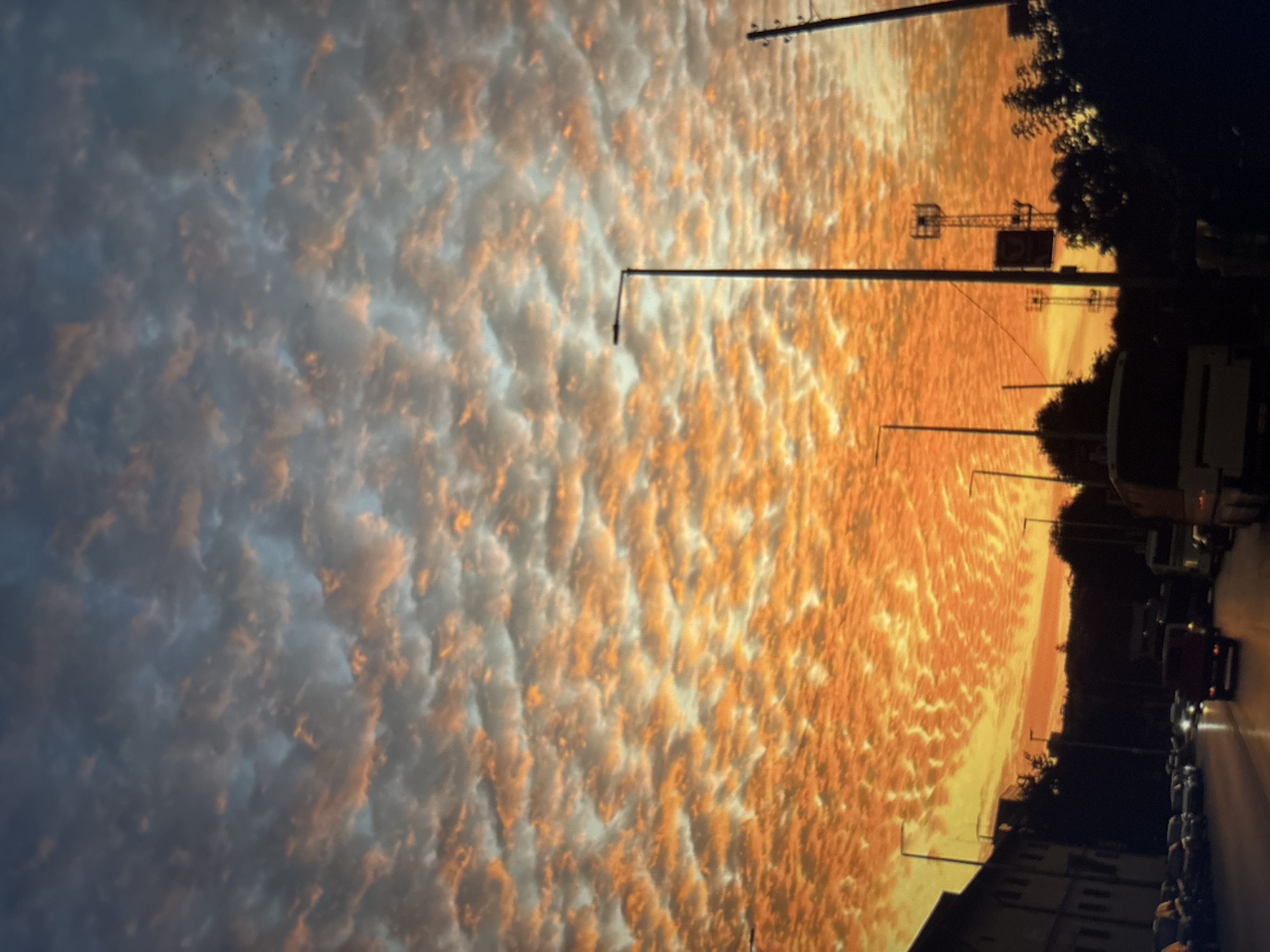 The image depicts a street scene at sunset. The sky is filled with altocumulus clouds, colored with shades of orange and gray. The street is lined with buildings, trees, and parked cars. Streetlights are visible along the road. The location appears to be an urban area.
