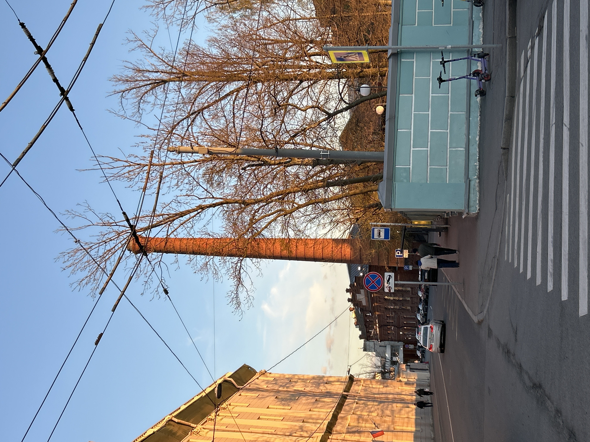 The image captures a street scene in Saint Petersburg, Russia. In the foreground, a tall, red brick smokestack stands prominently against a pale blue sky, interspersed with bare tree branches and overhead electrical wires. Buildings flank the street, including a green structure with vertical paneling on the right and a brick building with a corrugated roof on the left. Street signs indicating "no parking" and a bus stop are visible. A white car is driving along the road. Pedestrians walk on the sidewalk. The perspective is angled upwards, emphasizing the height of the smokestack. A zebra crossing spans the road.
