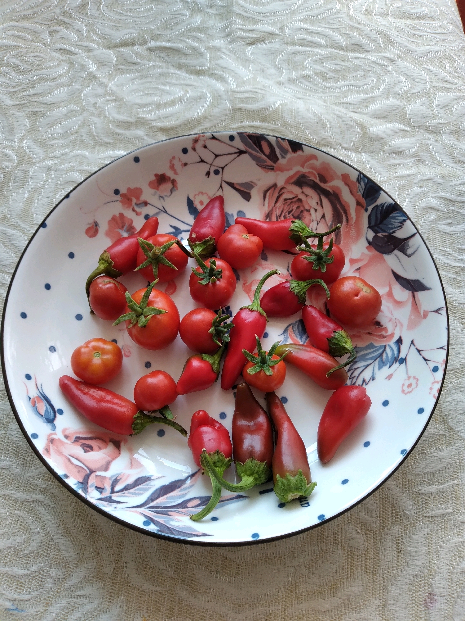 A white plate with a floral and polka dot pattern rests on a textured white tablecloth. The plate is filled with a variety of small red tomatoes and red chili peppers. The tomatoes are round and have green stems, while the chili peppers are elongated and tapered. Some of the chili peppers appear to be a deeper red or slightly brownish hue. The lighting suggests an indoor setting, likely a home environment. The image does not contain any information that would allow for the determination of its location in the city of Baki, Uzbekistan.