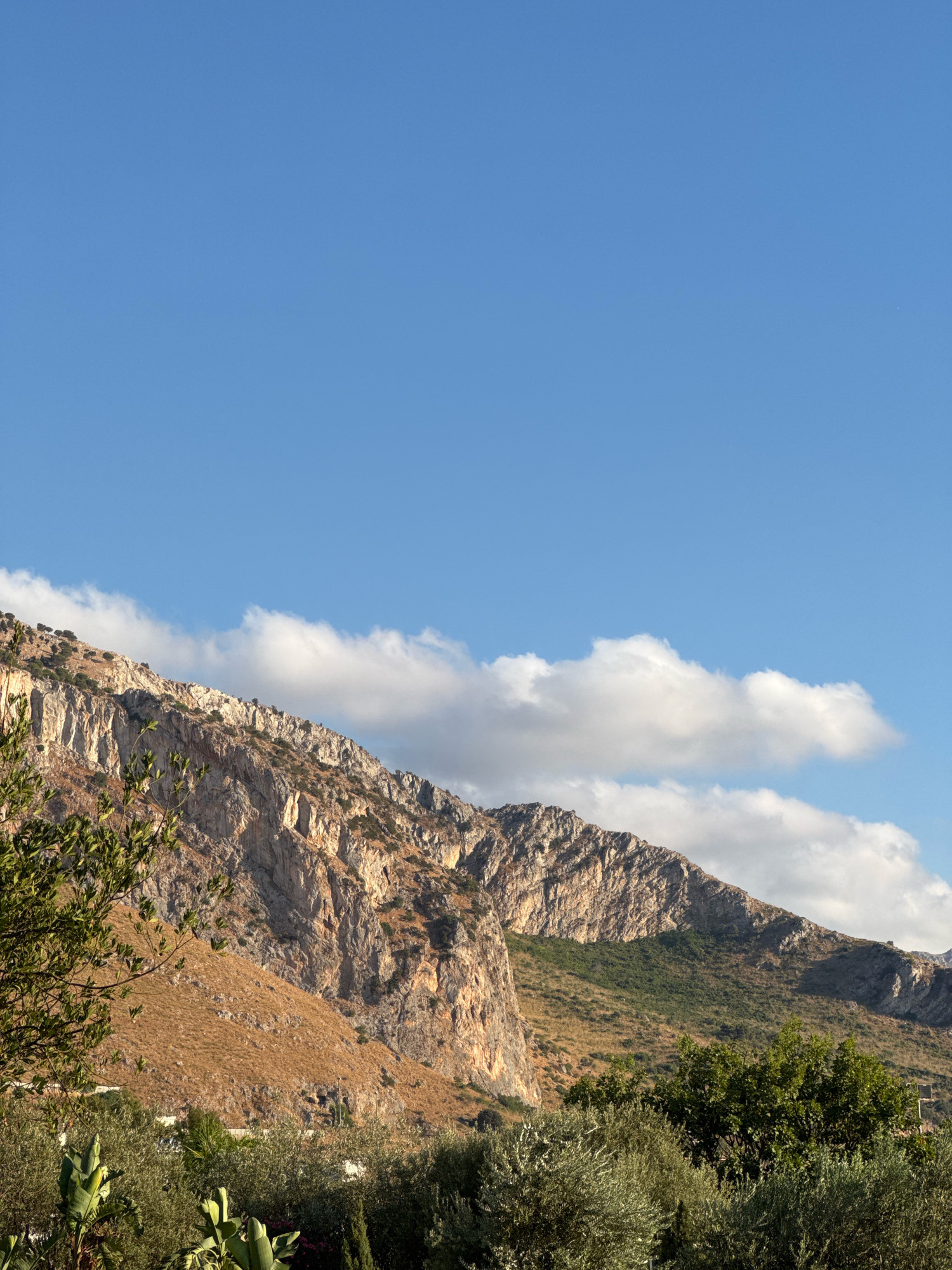 A vertical shot captures a rocky mountainside, bathed in the warm light of what appears to be late afternoon. The mountain's rugged face, a mosaic of tan and grey rock, is streaked with shadows, revealing its textured surface. Sparse, dry vegetation dots the lower slopes, transitioning to greener foliage further up. In the foreground, a cluster of lush green trees and plants adds a vibrant contrast to the arid mountain. Above, a vast expanse of clear blue sky is interrupted by a few wispy white clouds. The image appears to be taken from a slightly elevated position, looking towards the mountains. The general setting suggests a Mediterranean coastal landscape, possibly in or near Isola delle Femmine, Italy, known for its dramatic cliffs and scenic beauty. No people are visible in the frame.